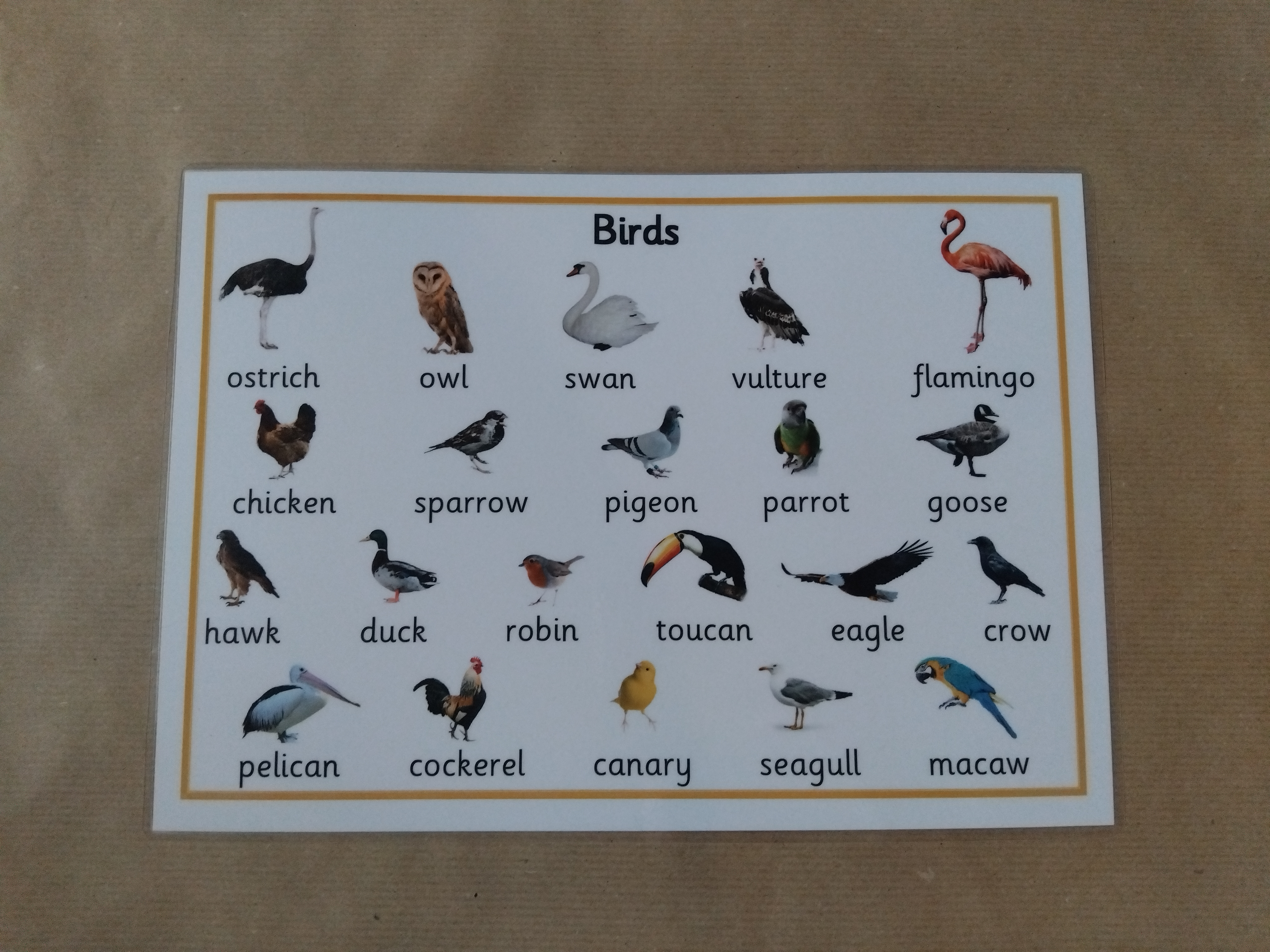 Birds Poster 