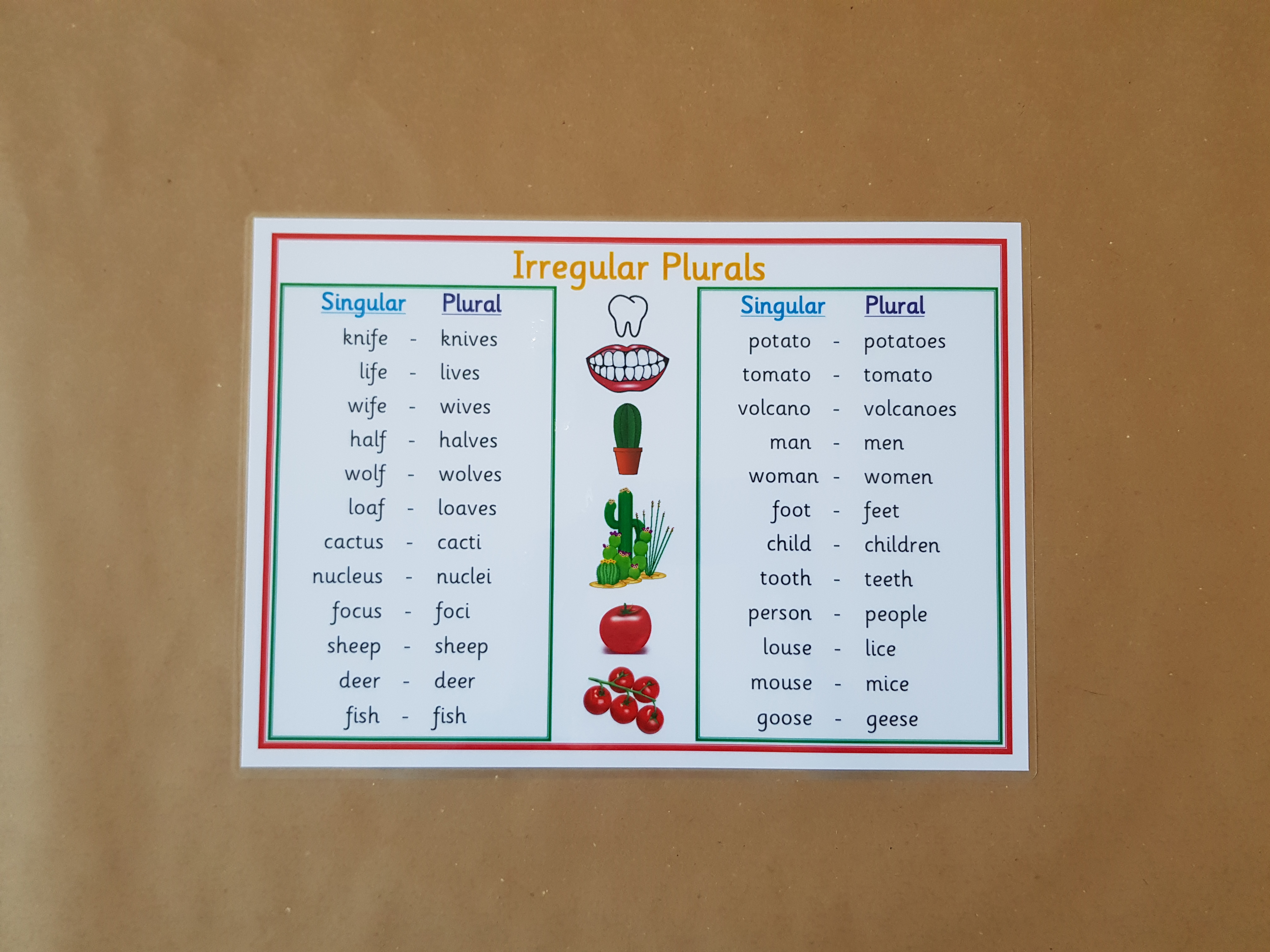 Irregular Plurals