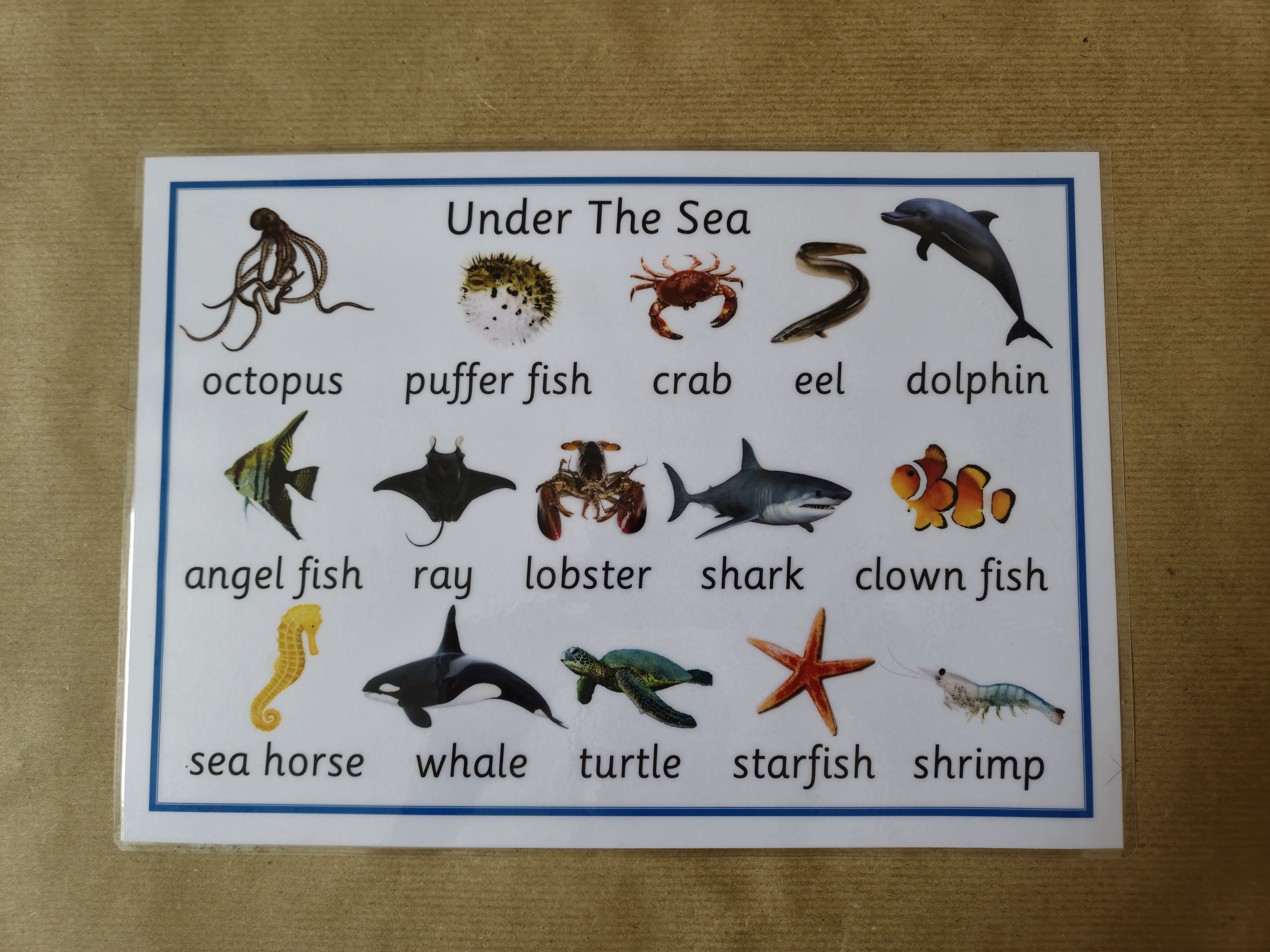 Under the Sea Poster 