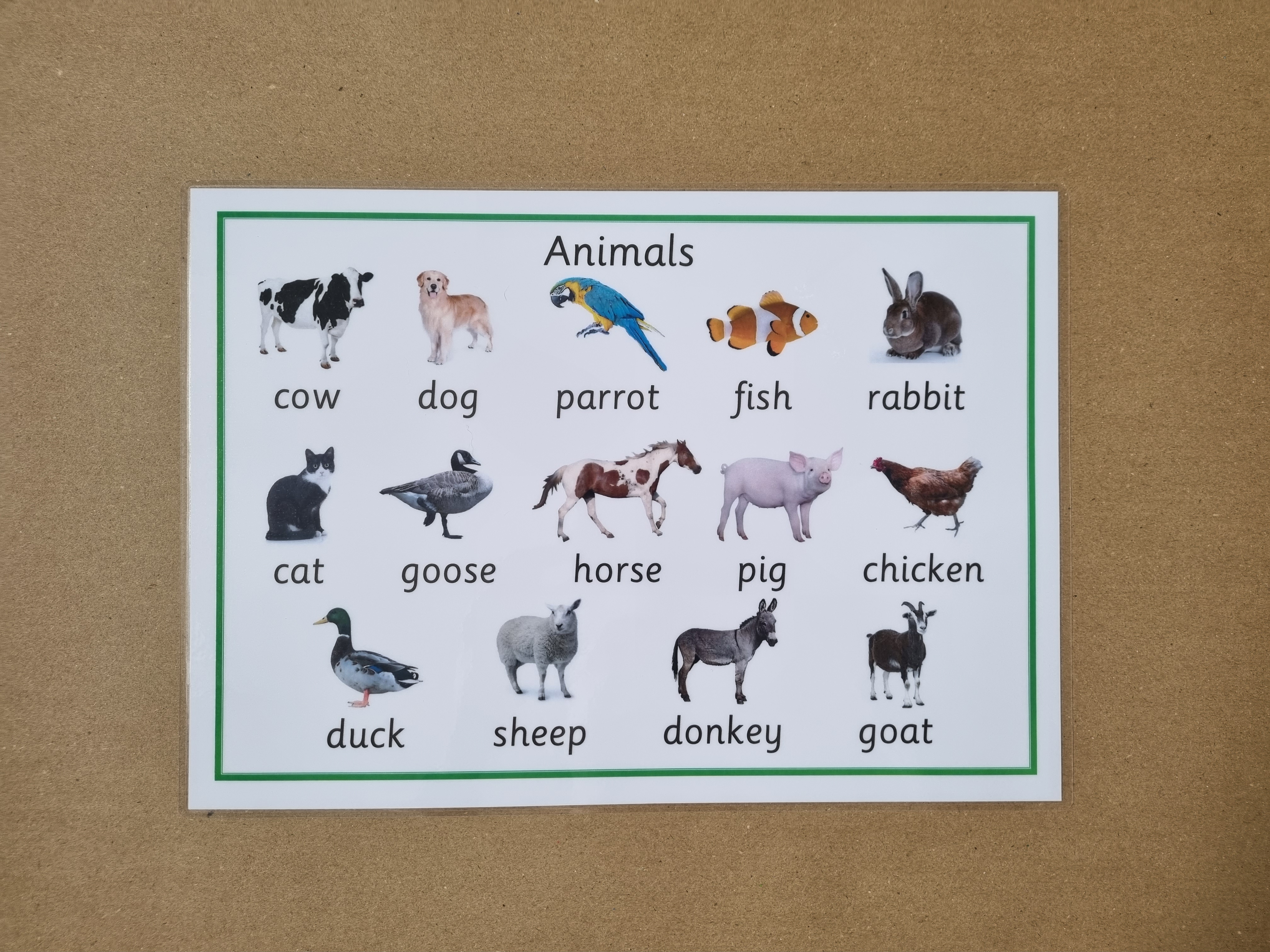 Animals Poster 