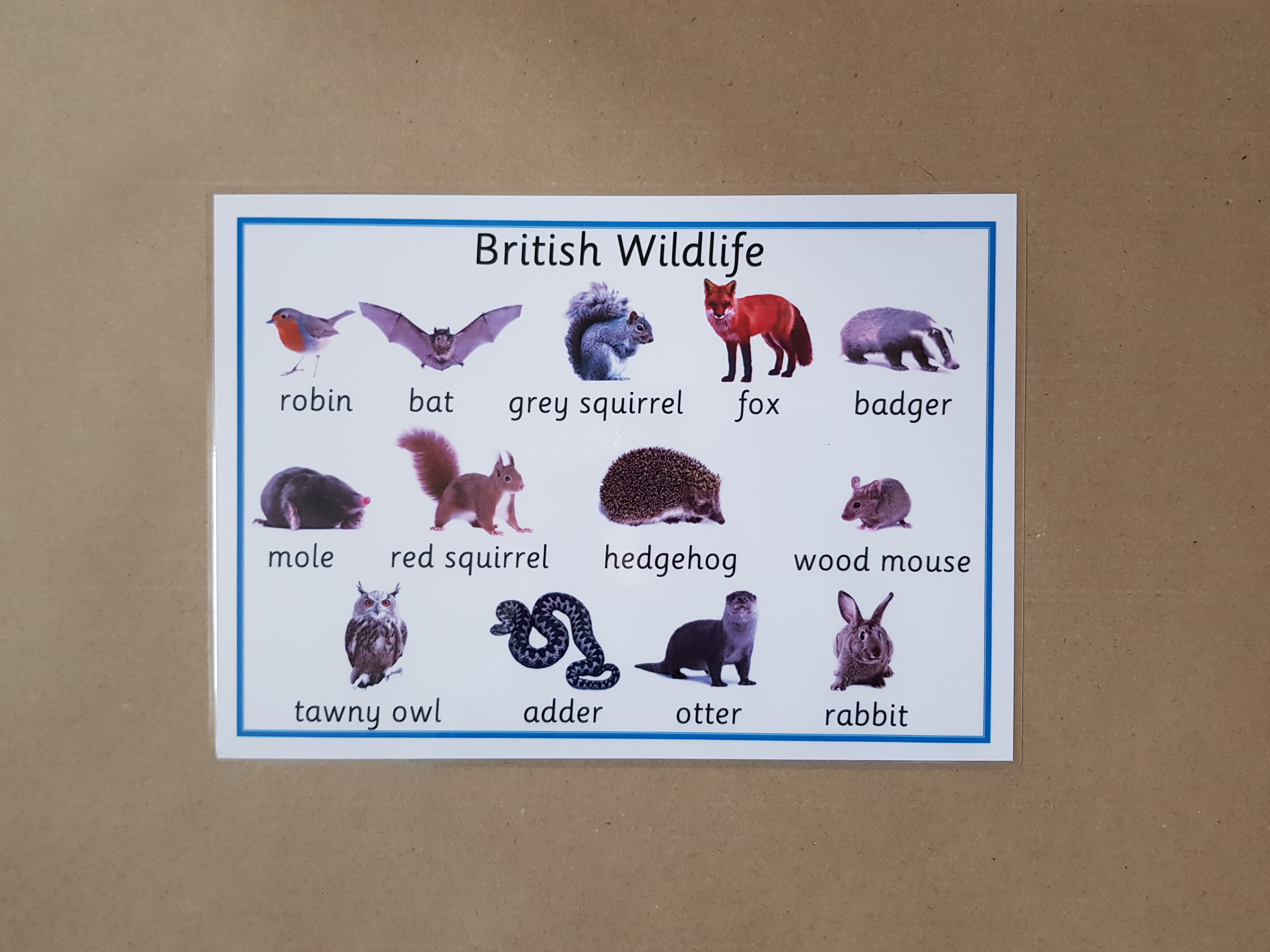British Wildlife Poster 