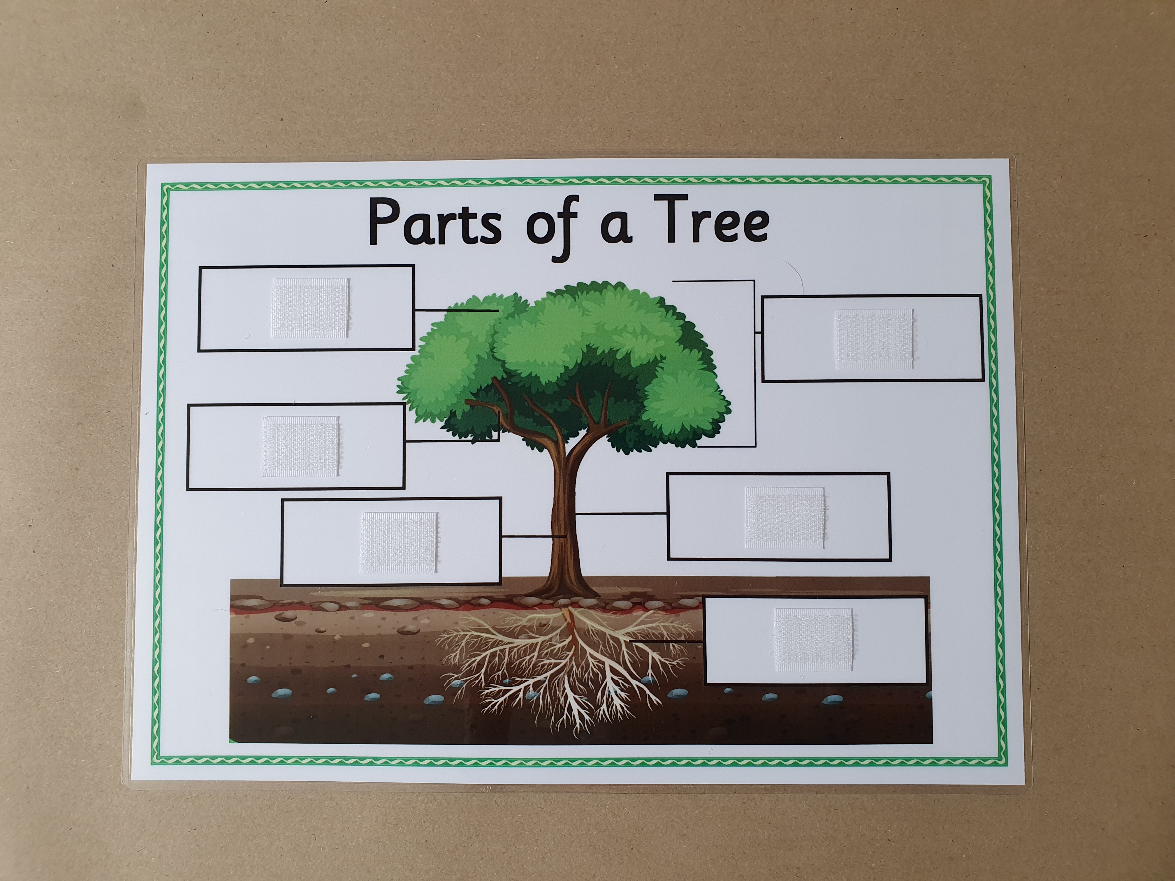 Parts of a Tree KS1 Labelling Worksheet with hook and loop tape