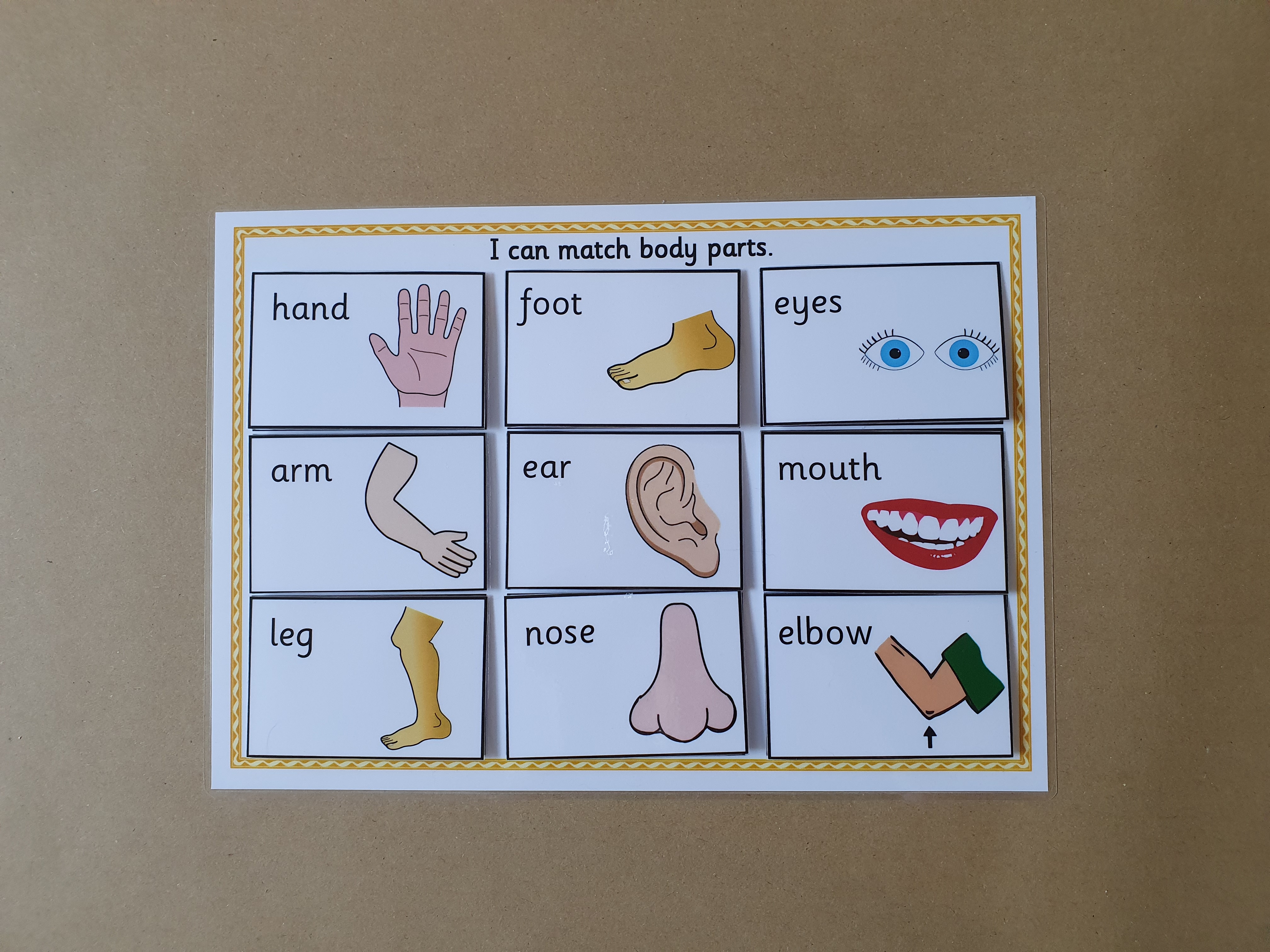 Body Parts Matching Game