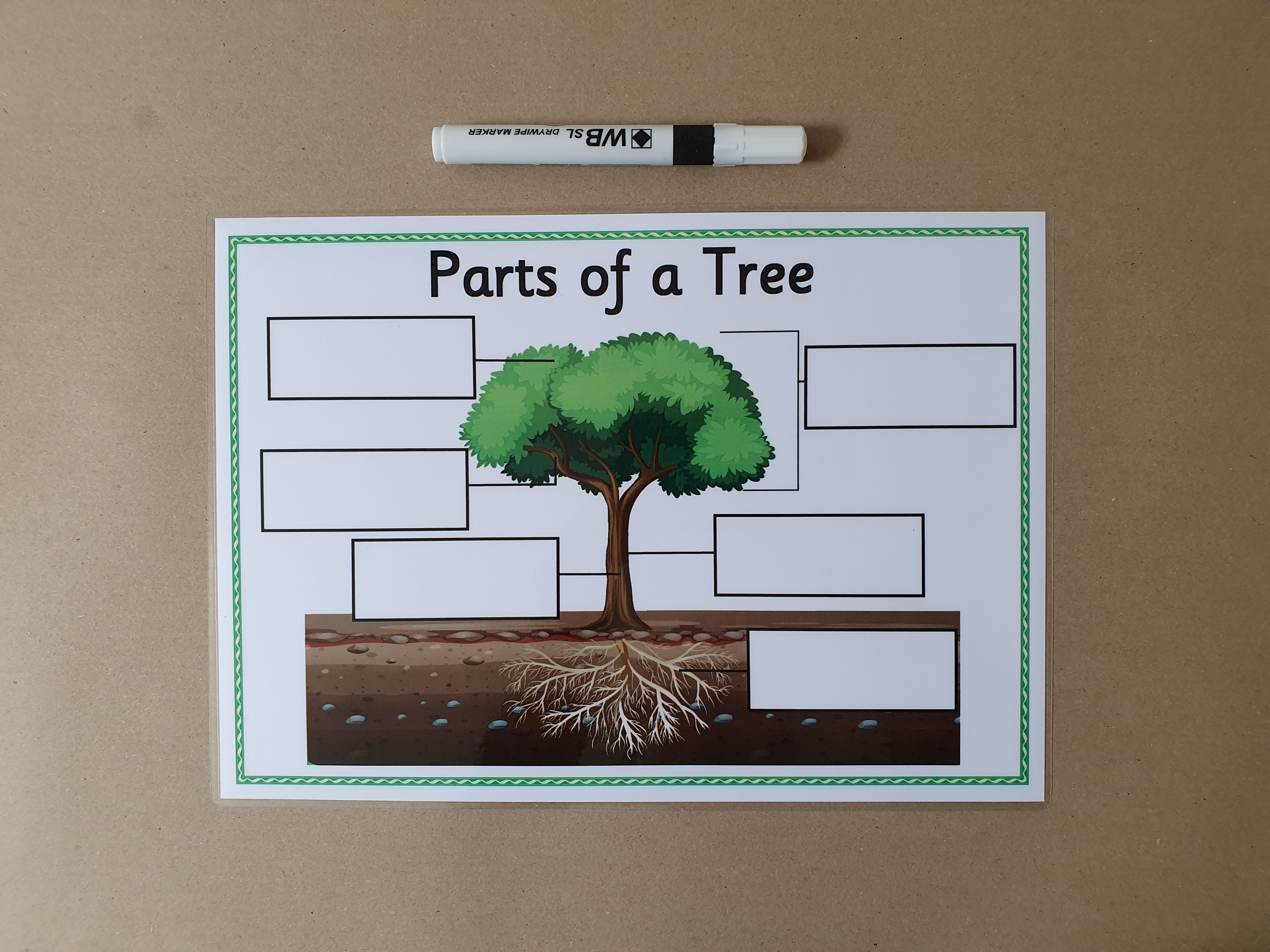 Parts of a Tree KS1 Labelling Worksheet