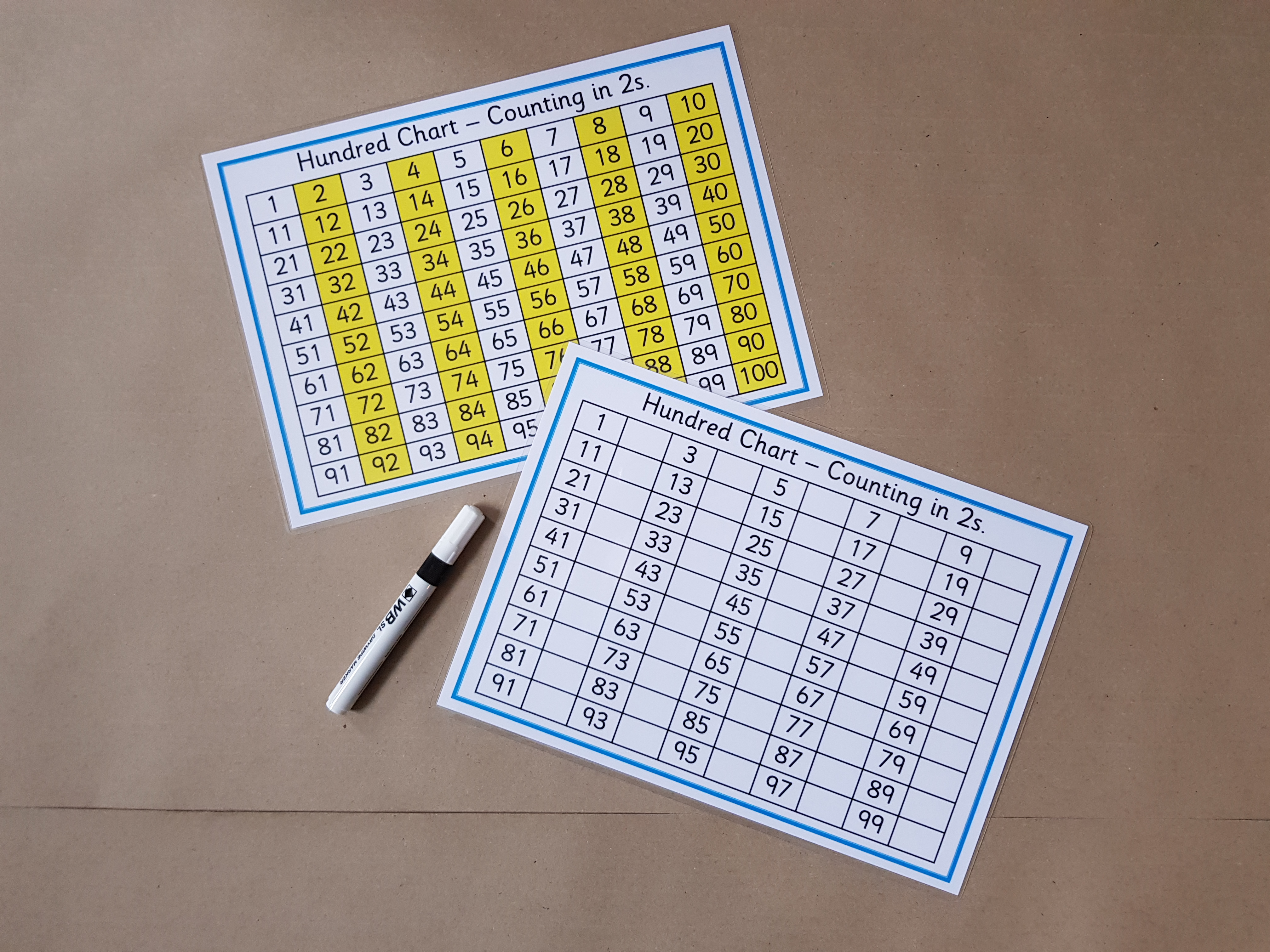 Hundreds Charts - Counting in 2s, 5s and 10s