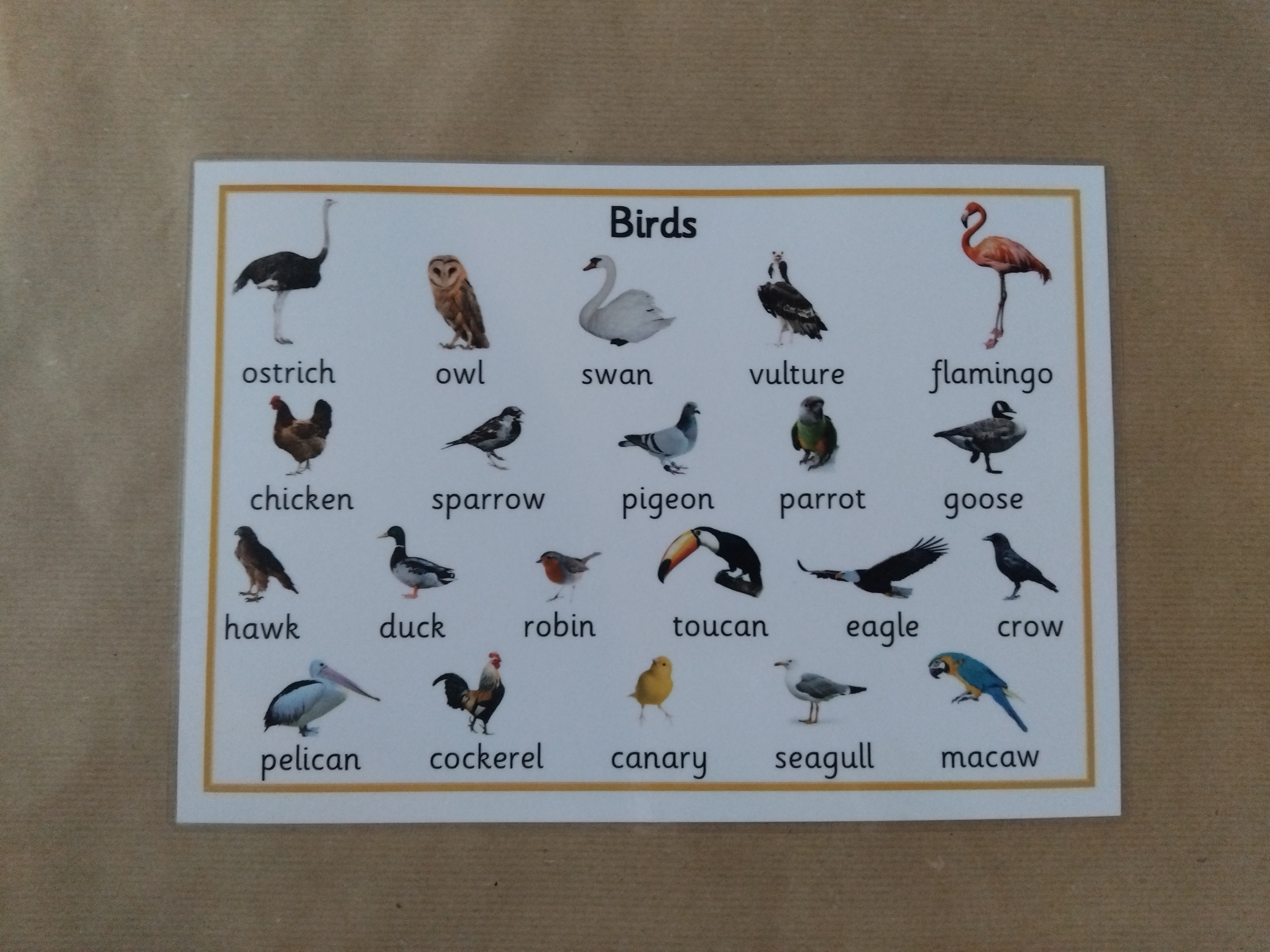 Birds Poster 