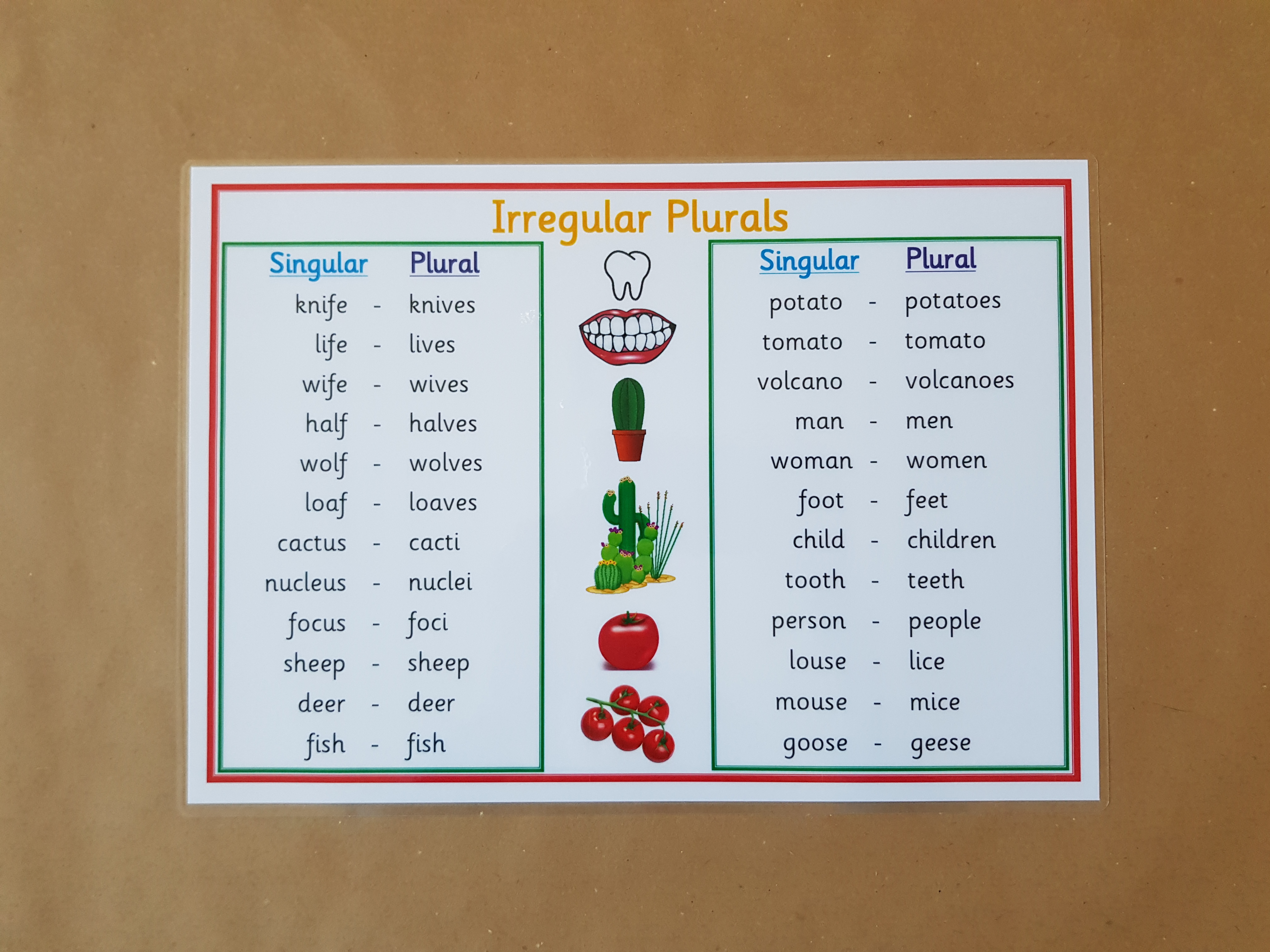 Irregular Plurals
