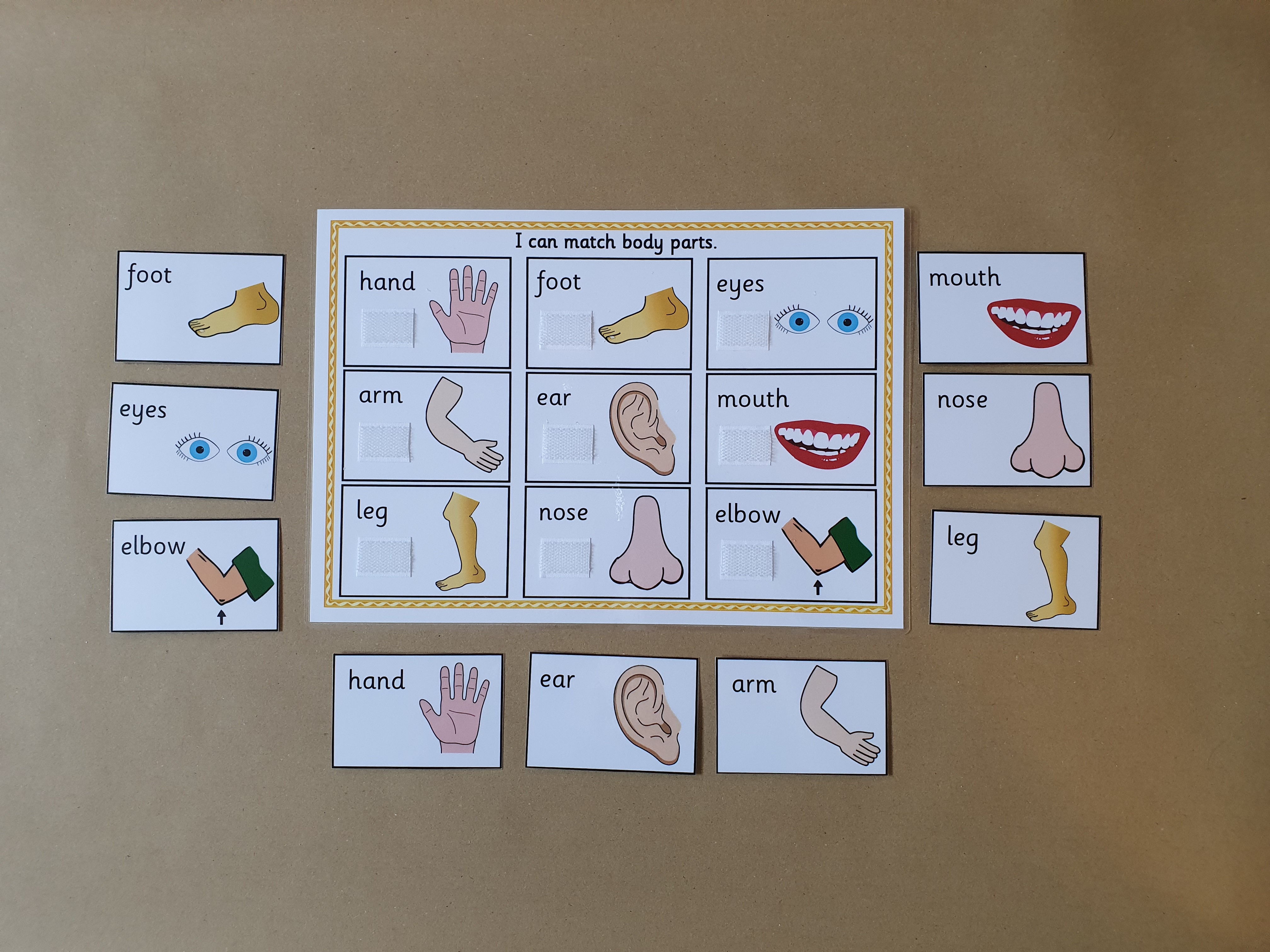 Body Parts Matching Game