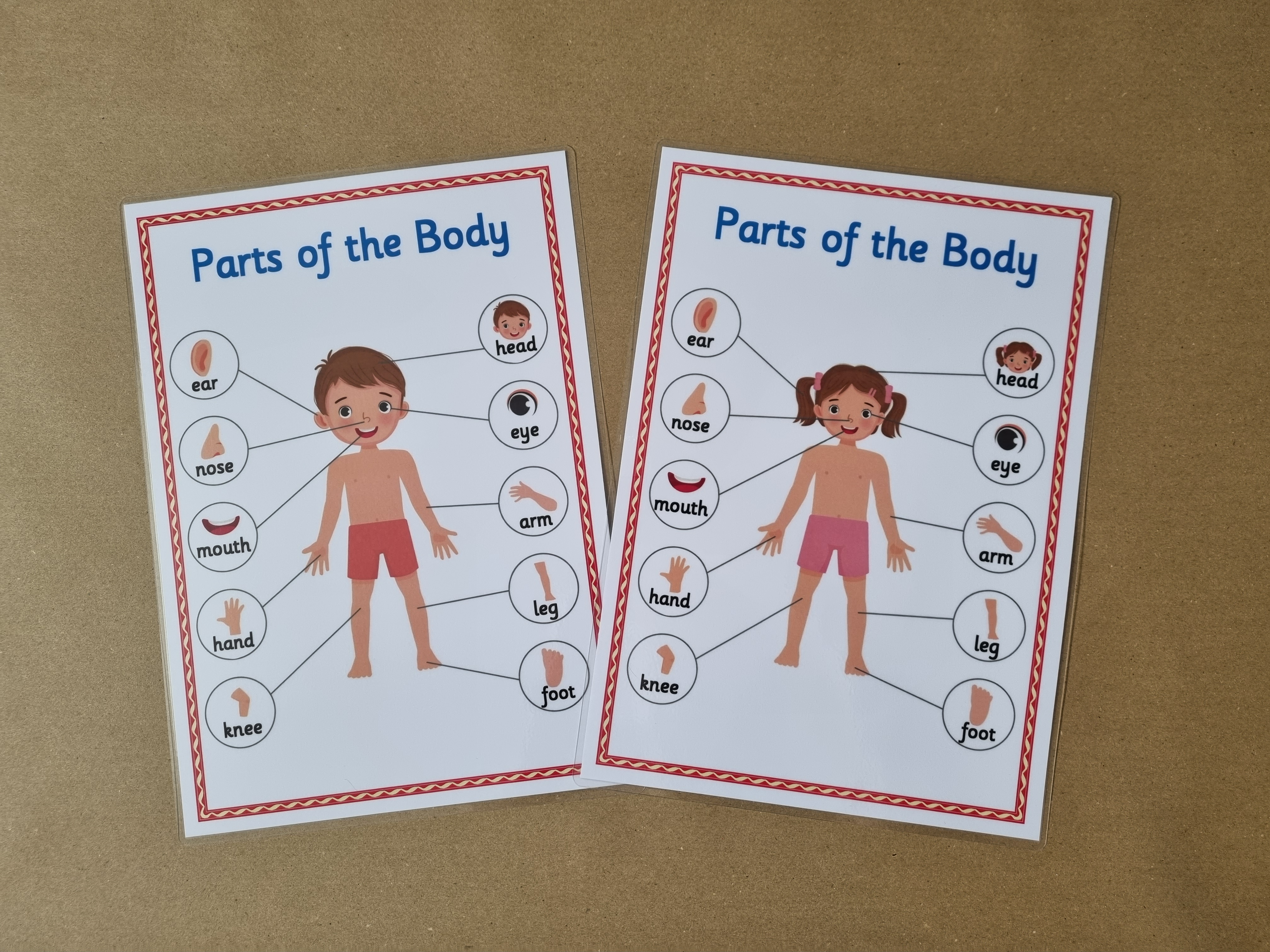 Body Part Poster 
