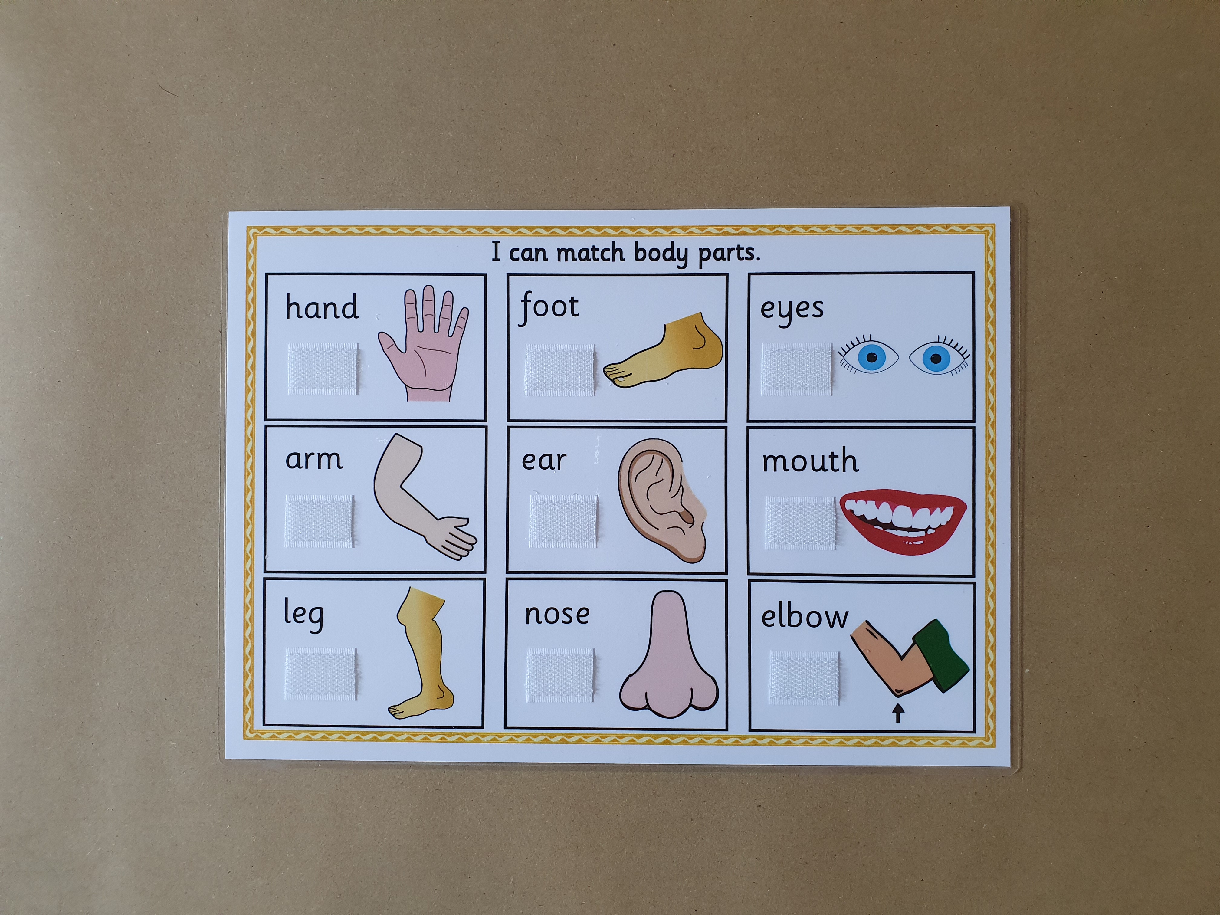 Body Parts Matching Game