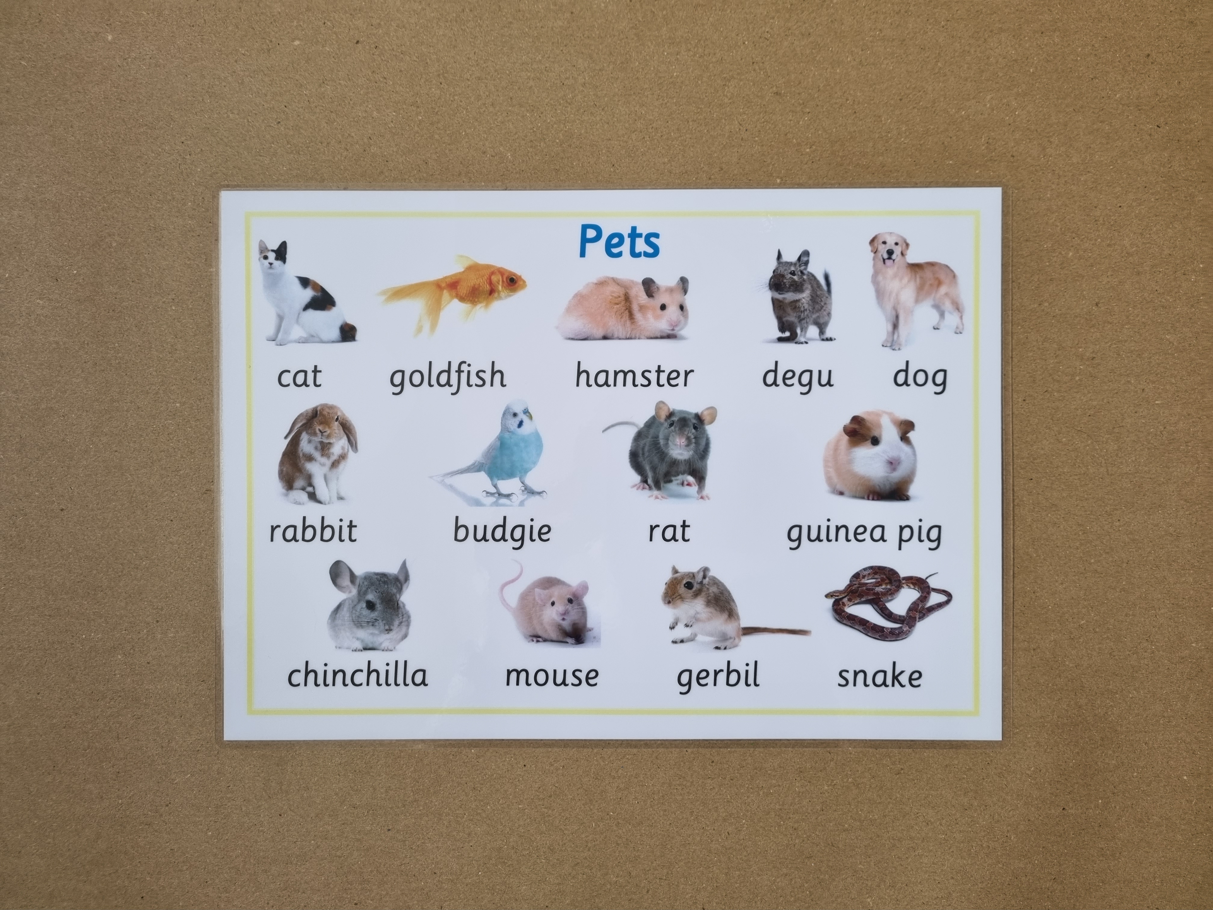 Pets Poster 