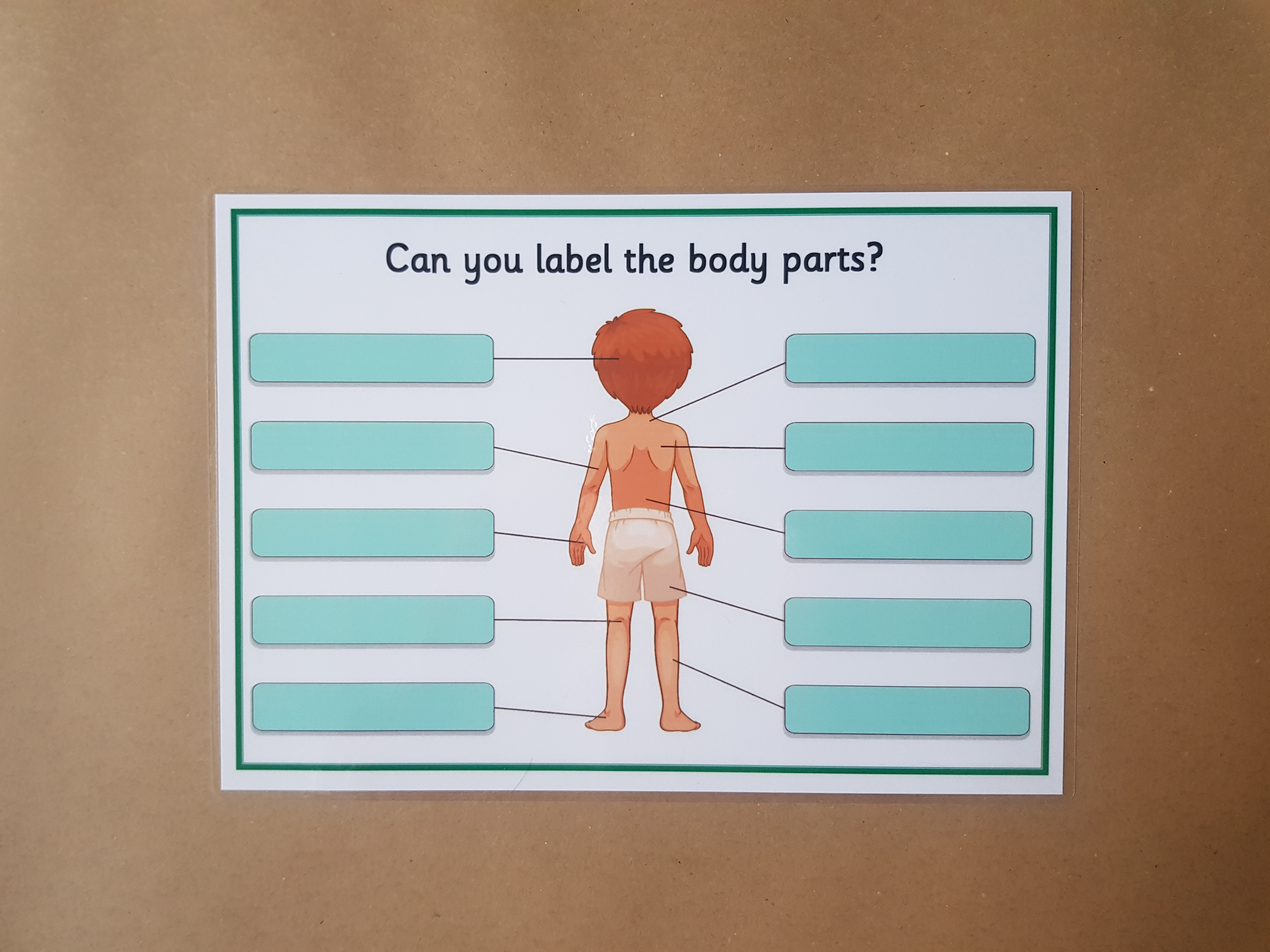 Body Part labelling reusable worksheet - boy