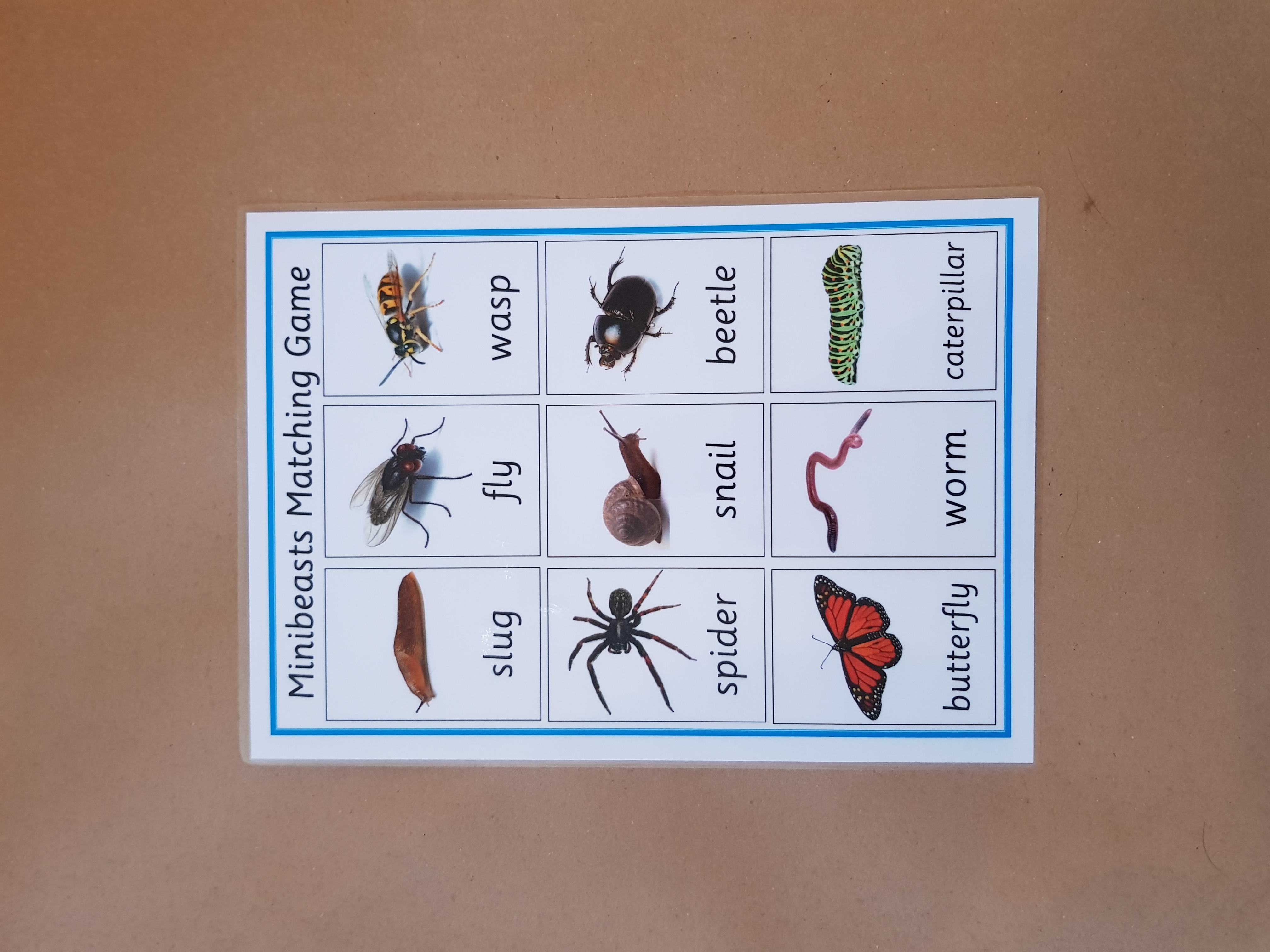 Minibeasts Matching Game