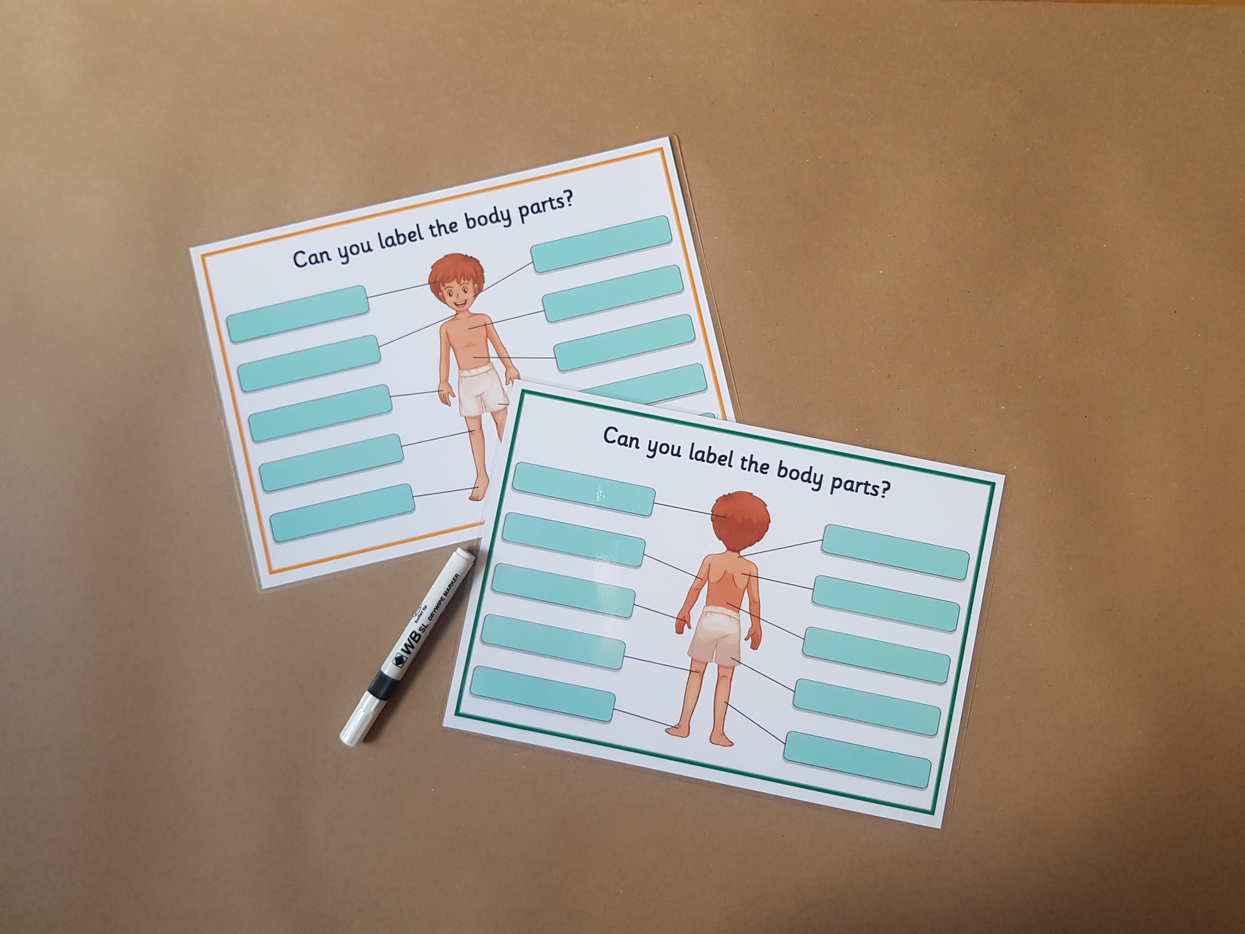 Body Part labelling reusable worksheet - boy
