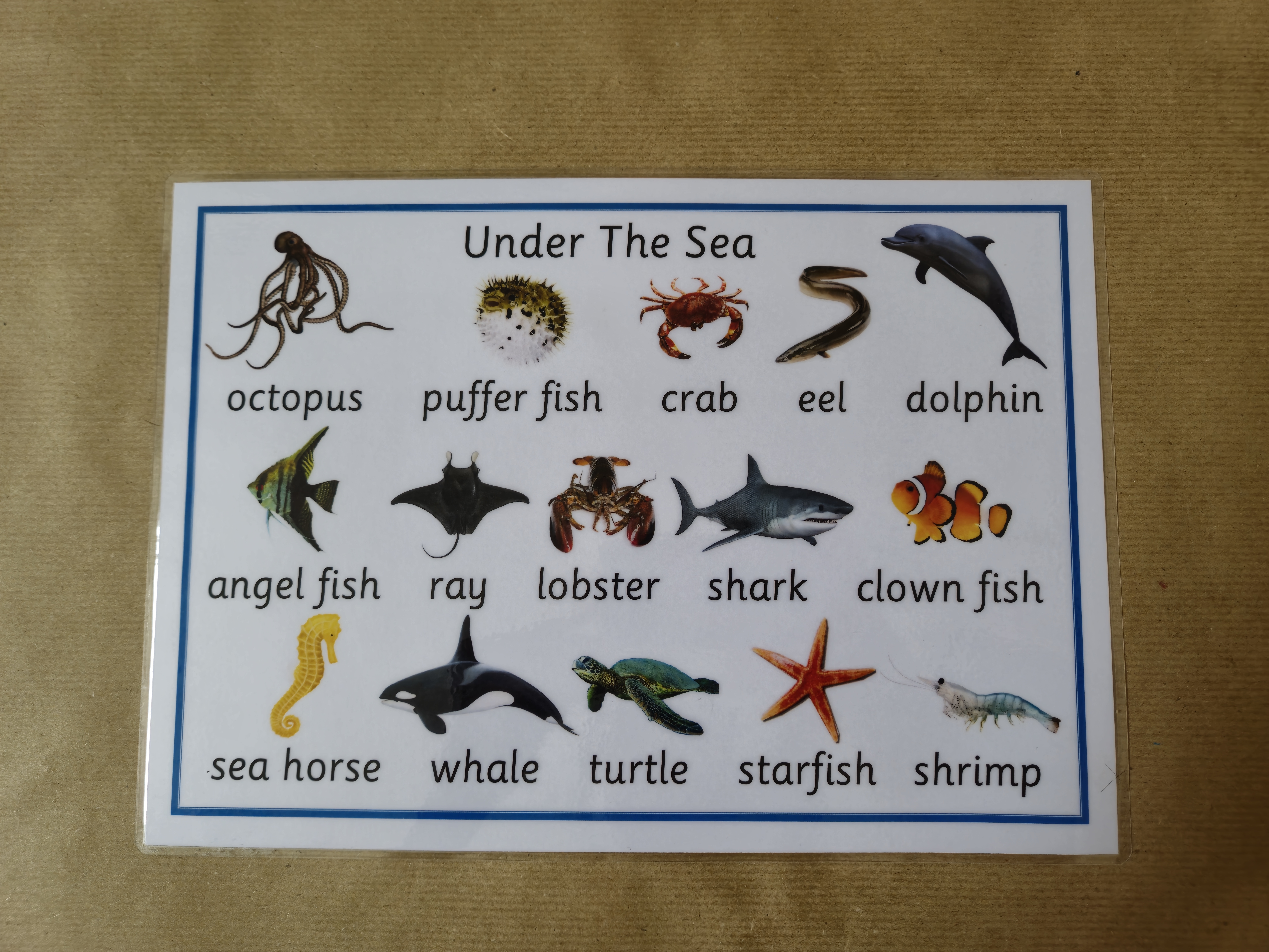 Under the Sea Poster 