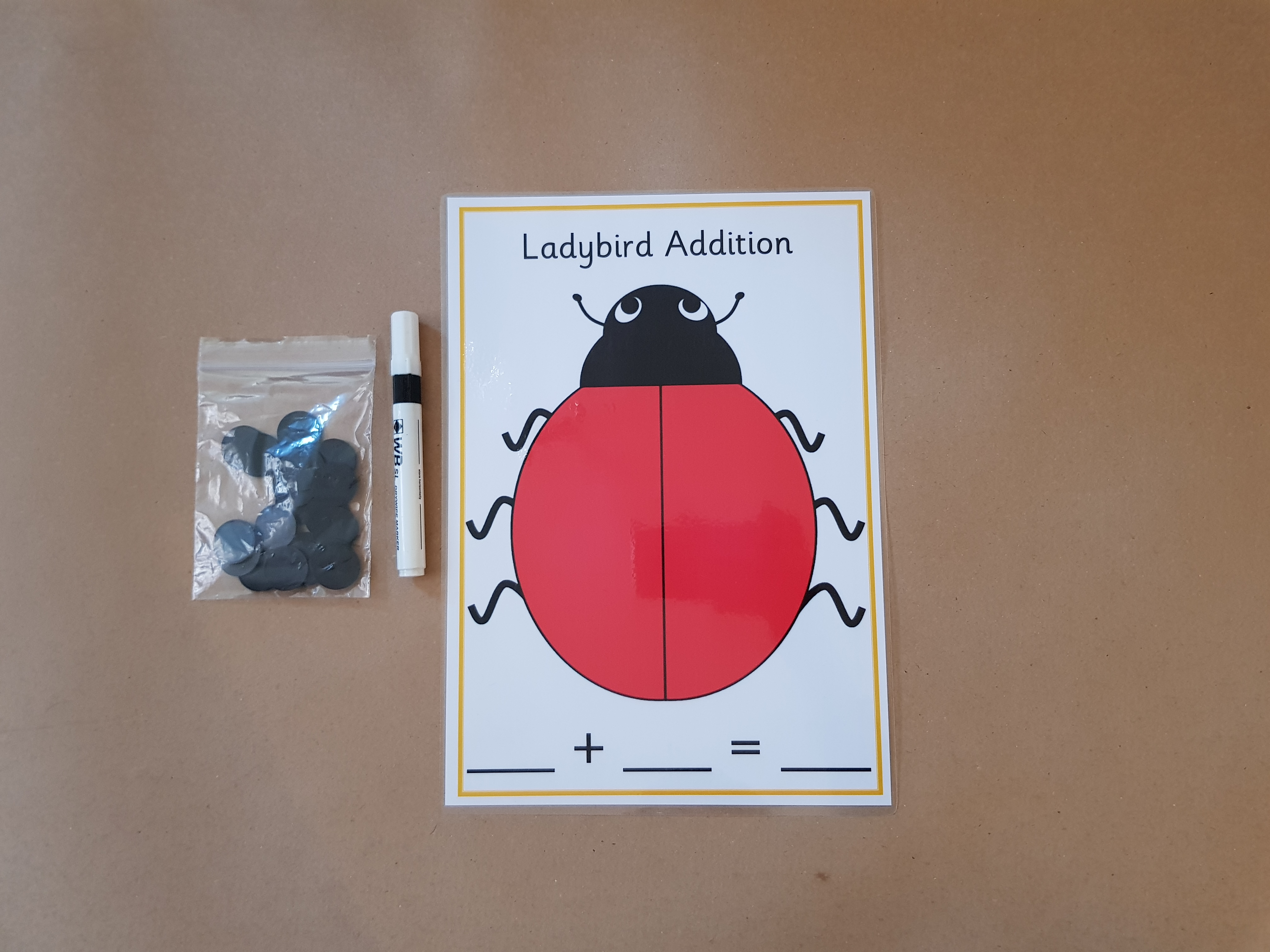 Ladybird Addition  - A4 Mat and black counters 
