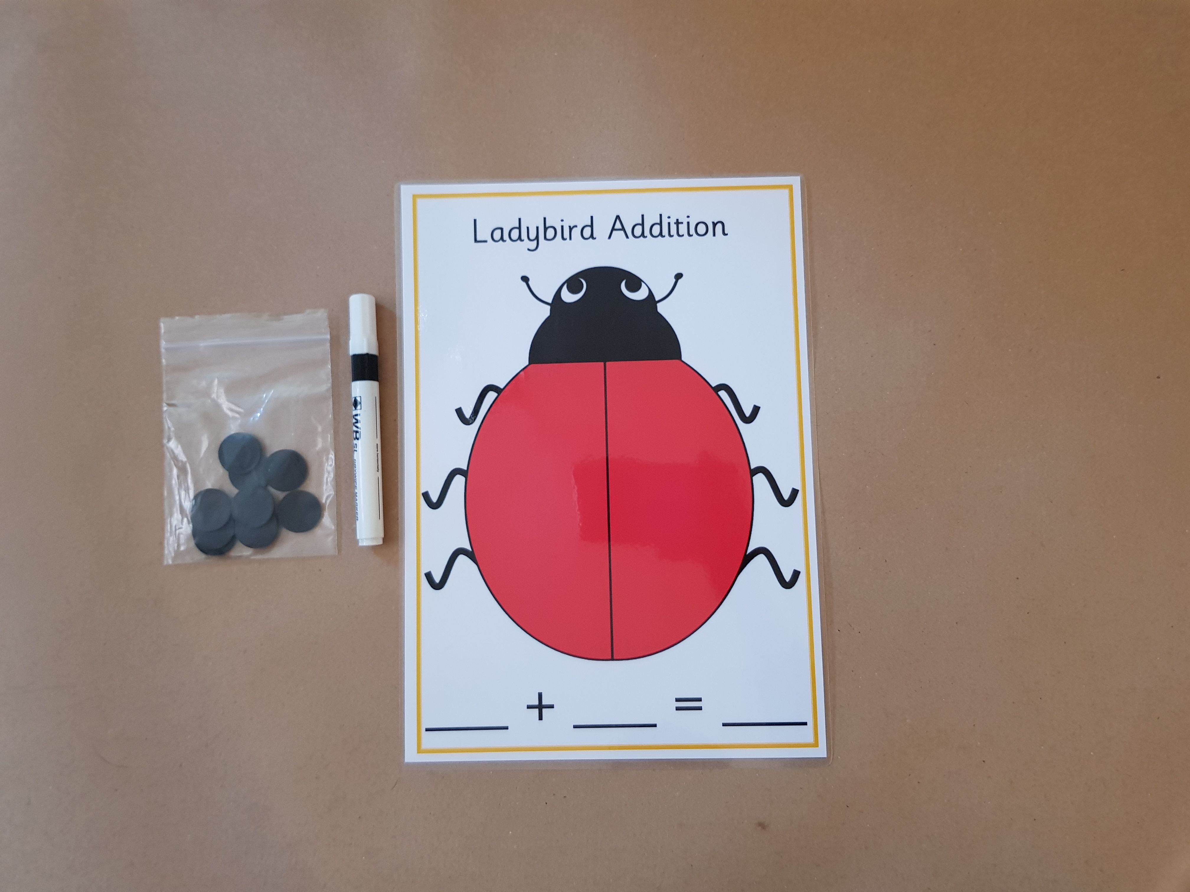 Ladybird Addition  - A4 Mat and black counters 