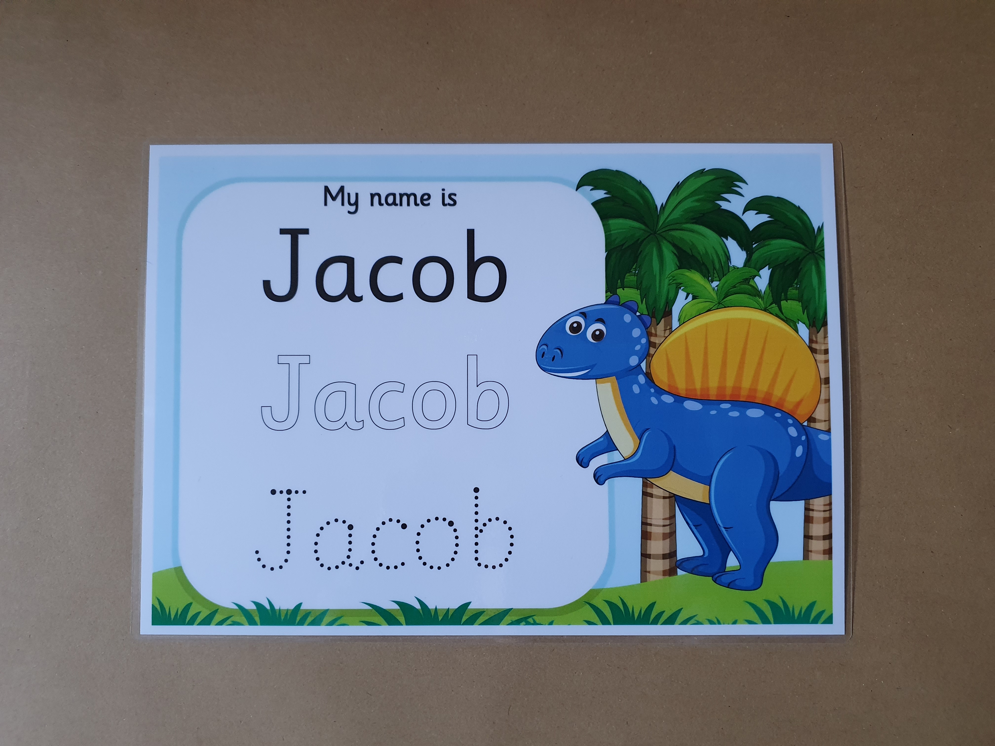 Dinosaur Tracing Mat Bundle