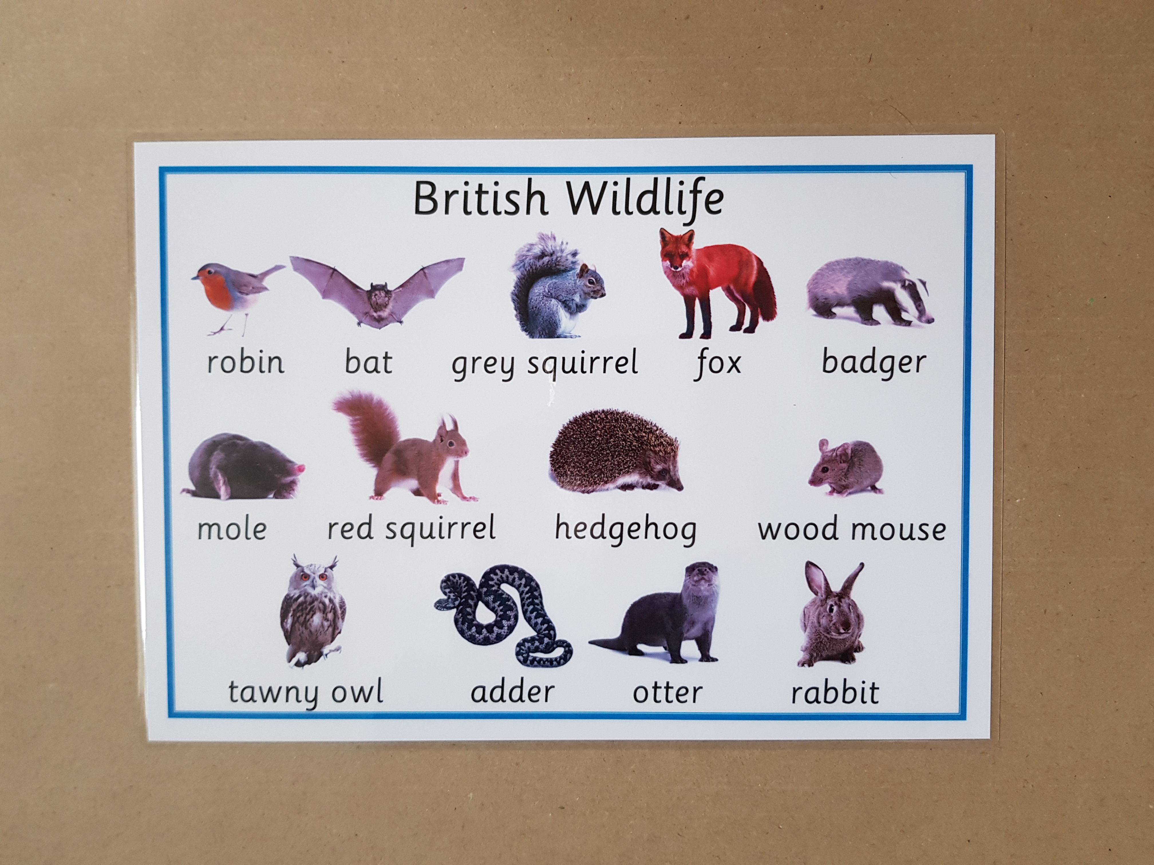 British Wildlife Poster 