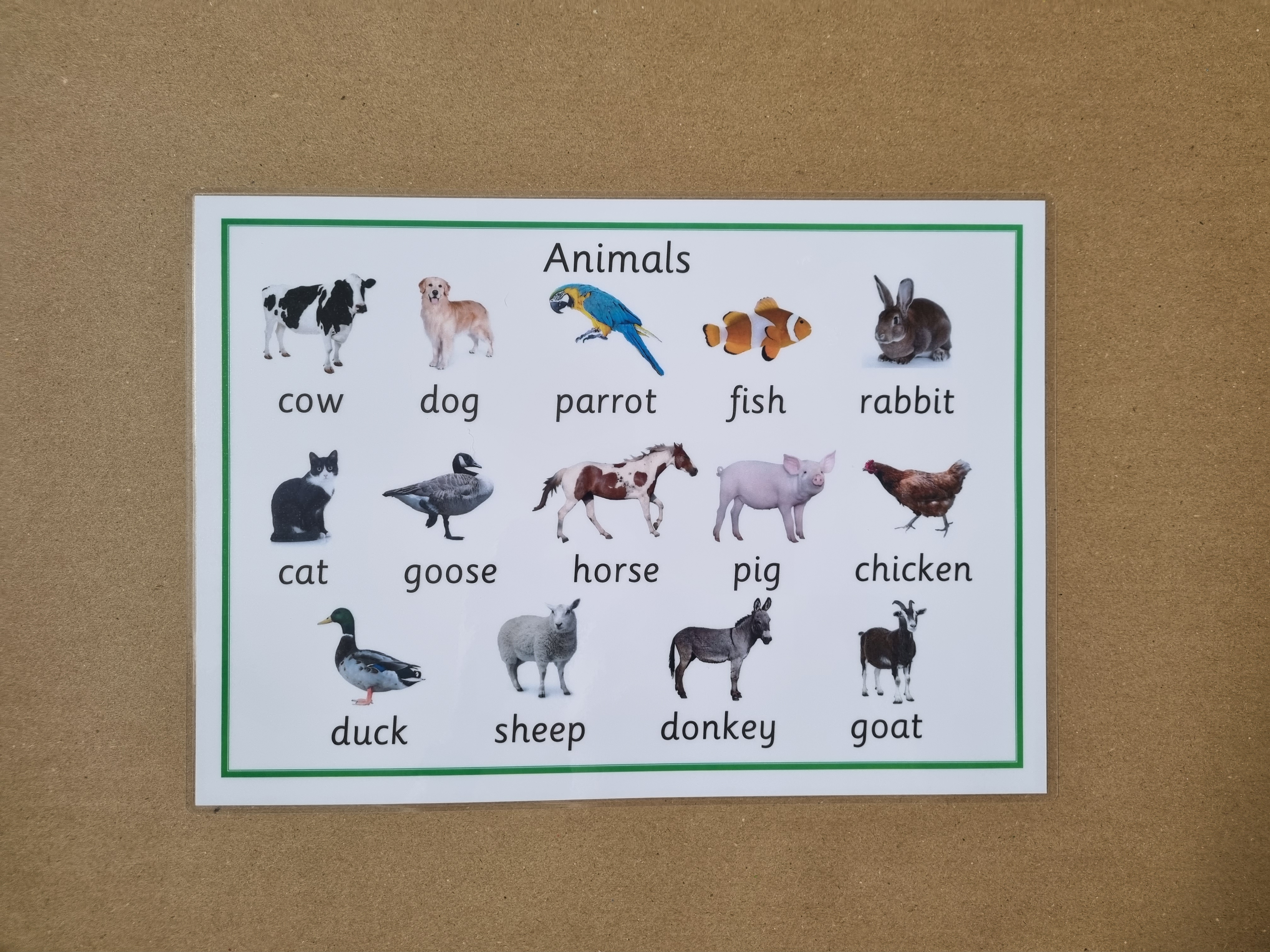 Animals Poster 