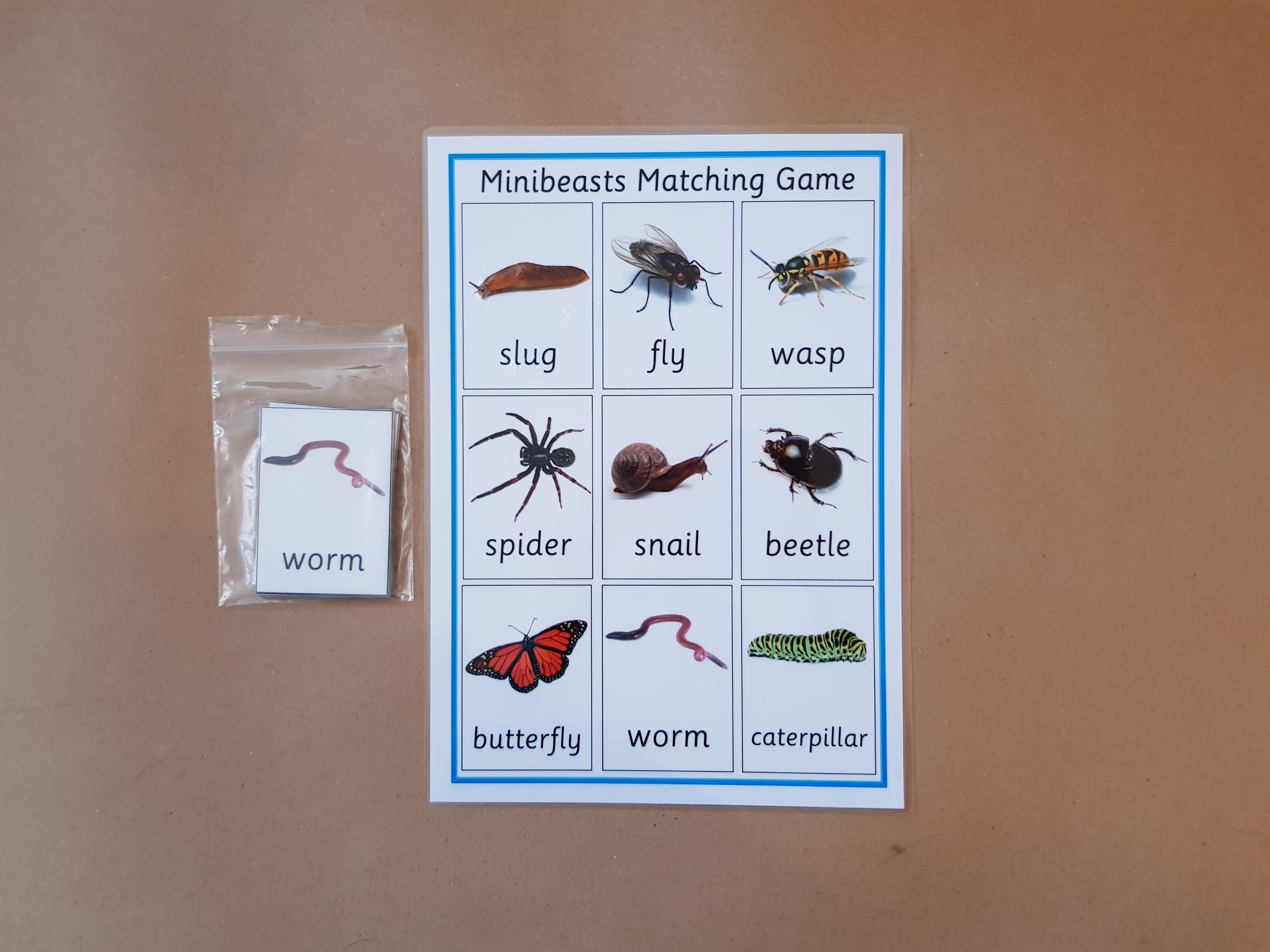 Minibeasts Matching Game