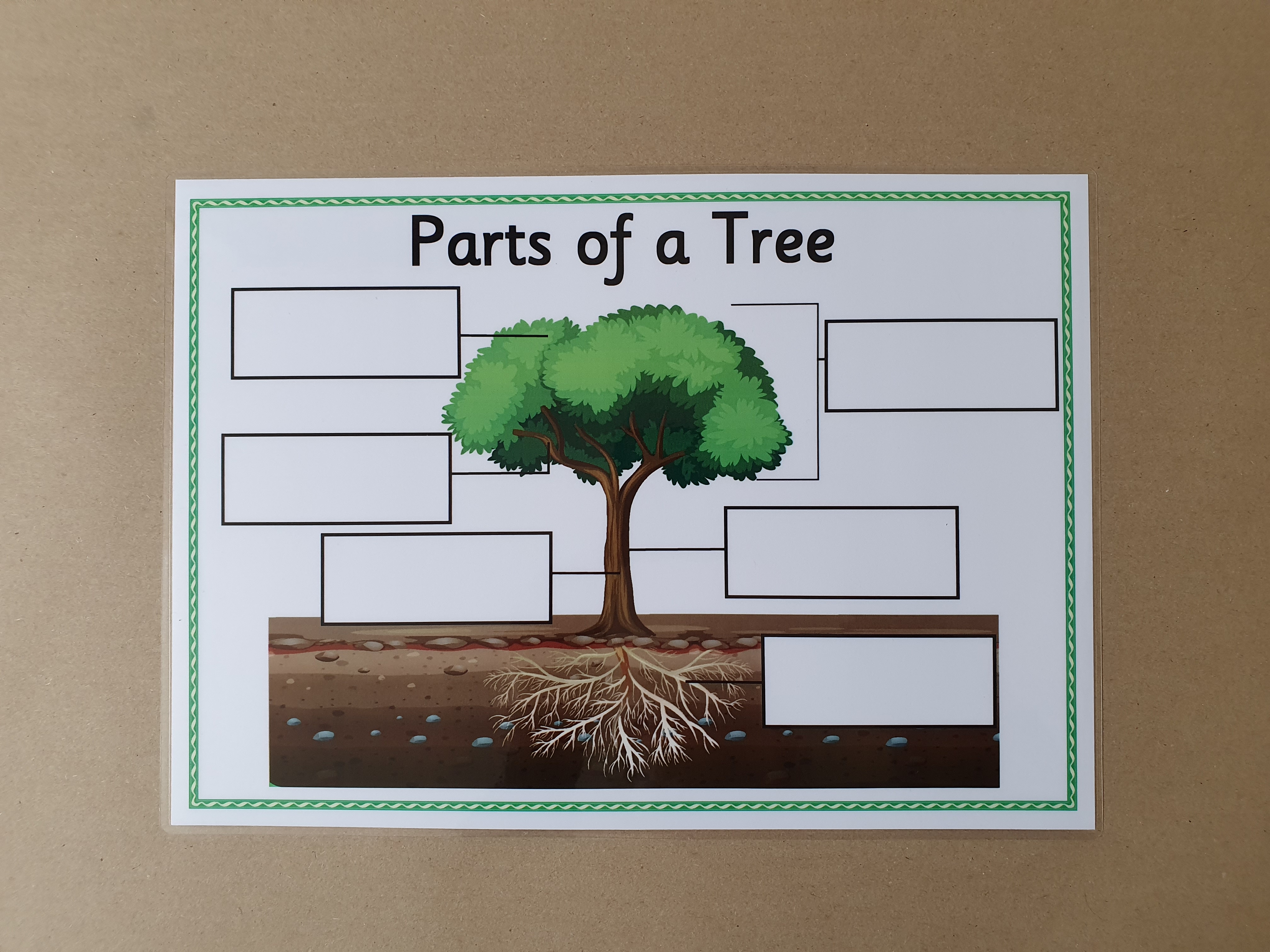 Parts of a Tree KS1 Labelling Worksheet
