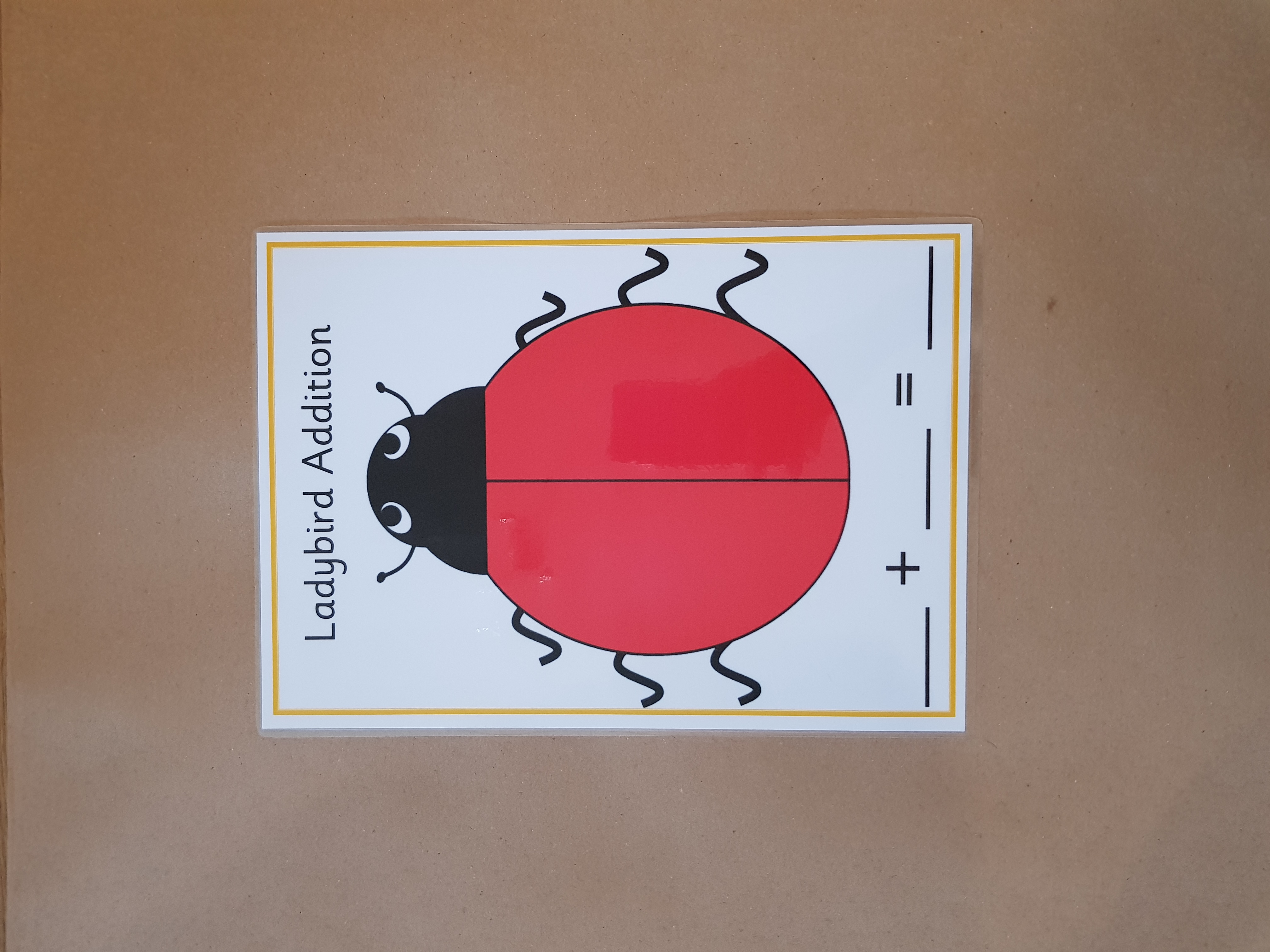 Ladybird Addition  - A4 Mat and black counters 