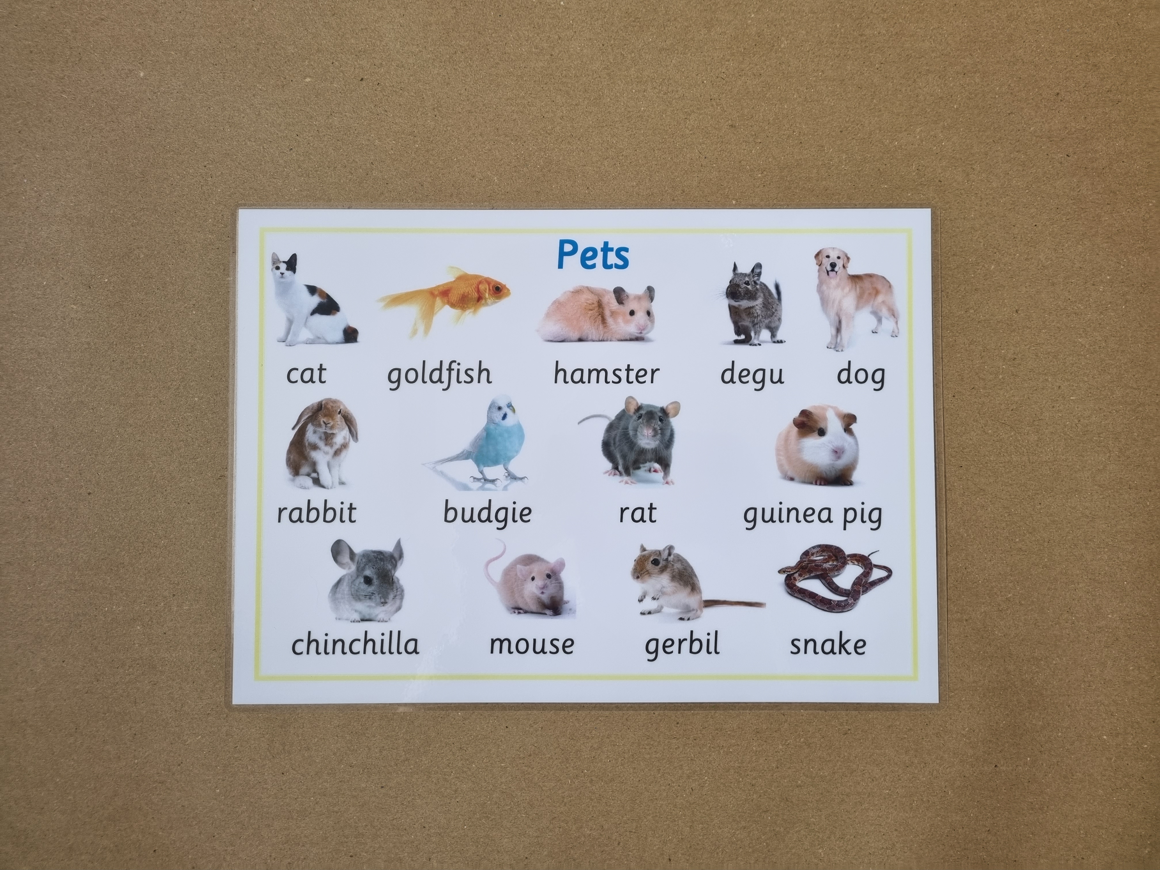 Pets Poster 