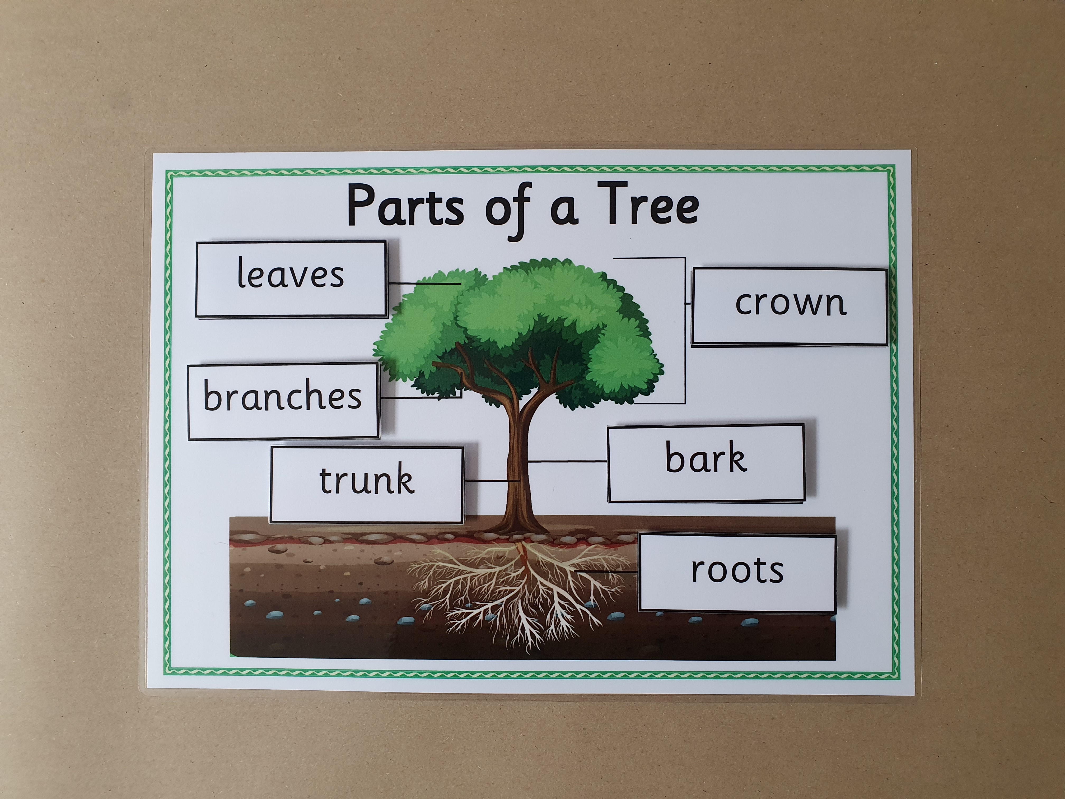 Parts of a Tree KS1 Labelling Worksheet with hook and loop tape