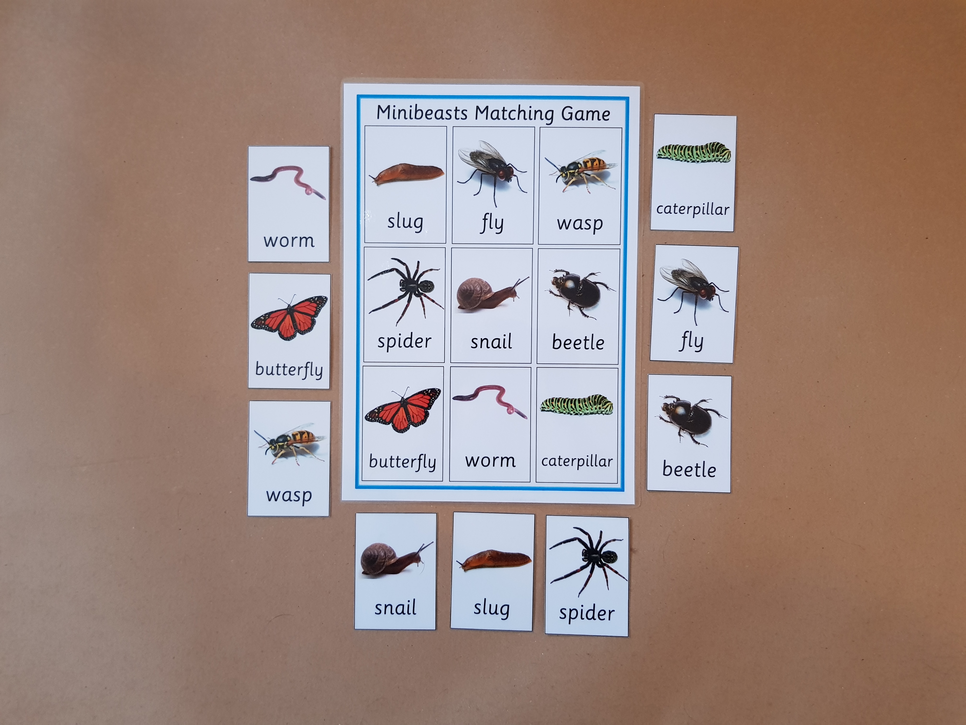Minibeasts Matching Game