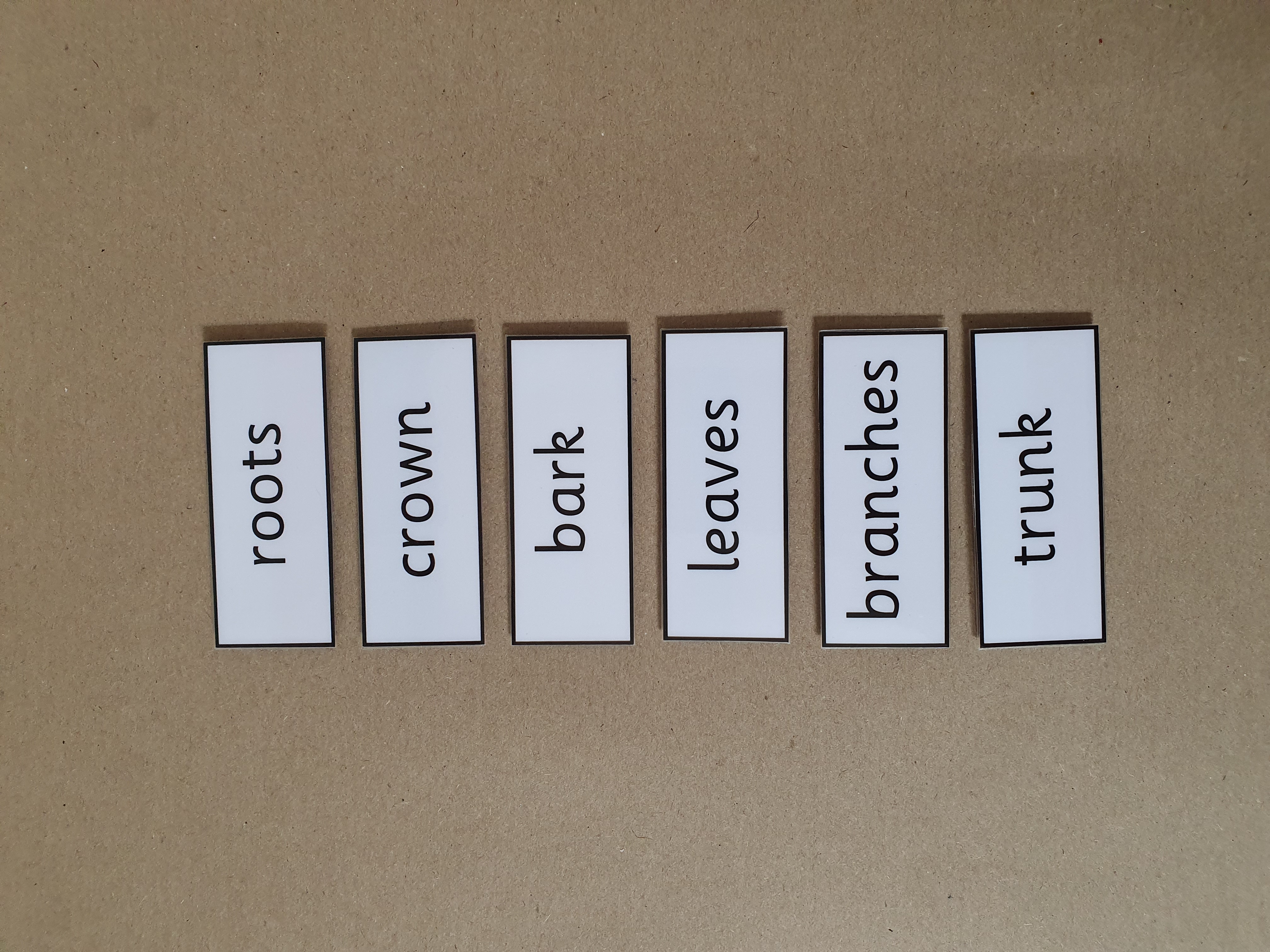 Parts of a Tree KS1 Labelling Worksheet with hook and loop tape