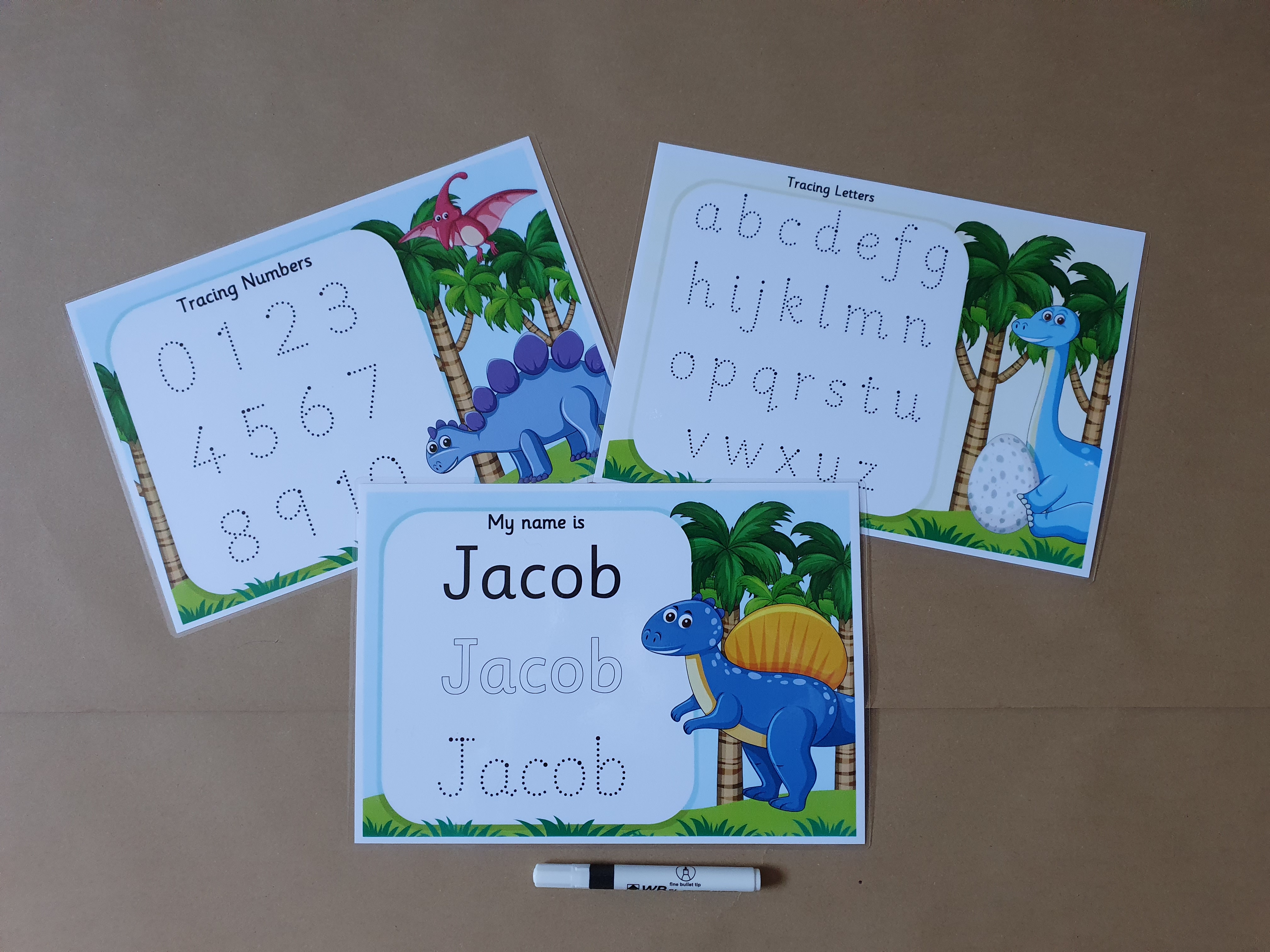 Dinosaur Tracing Mat Bundle