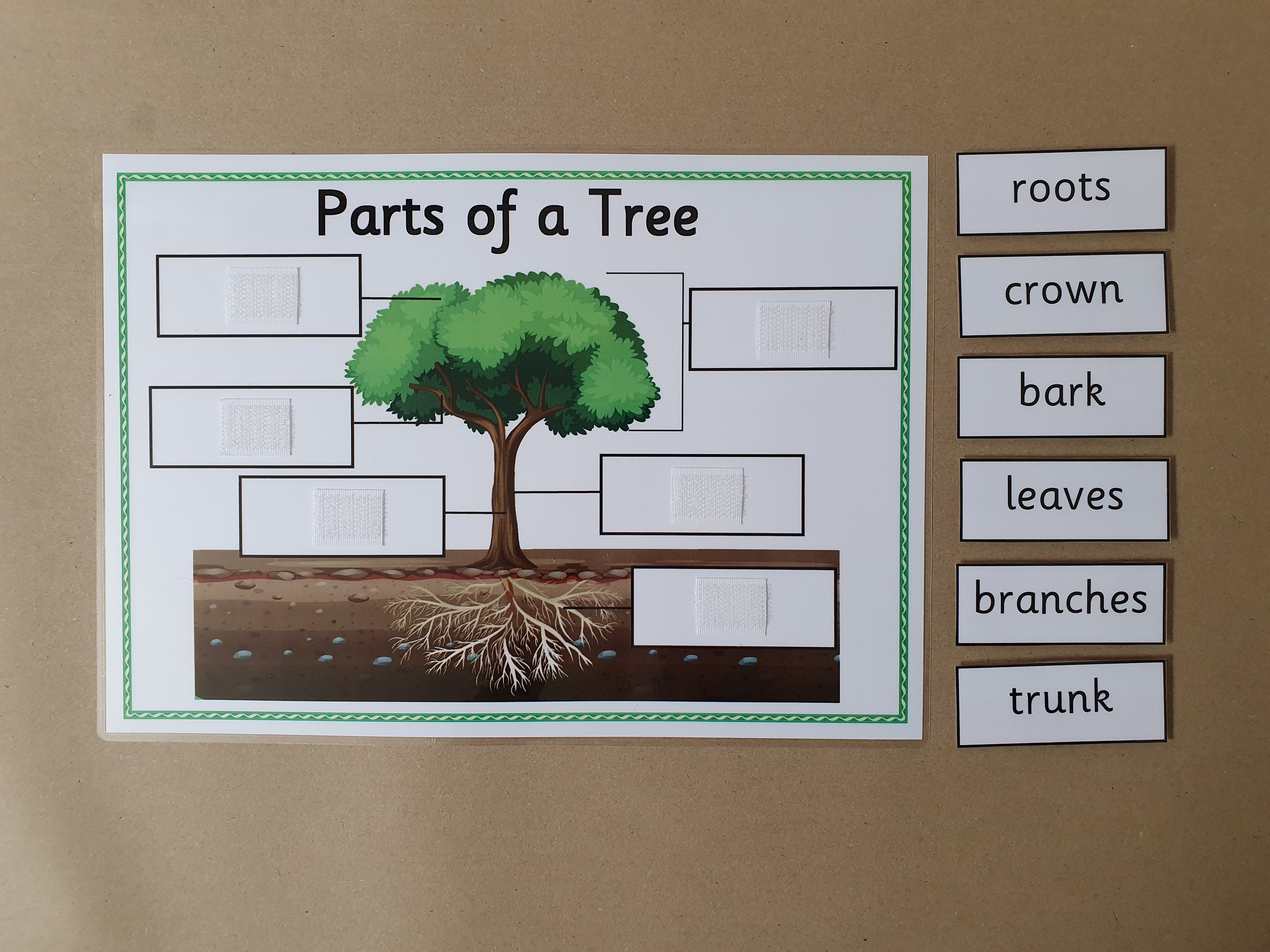 Parts of a Tree KS1 Labelling Worksheet with hook and loop tape