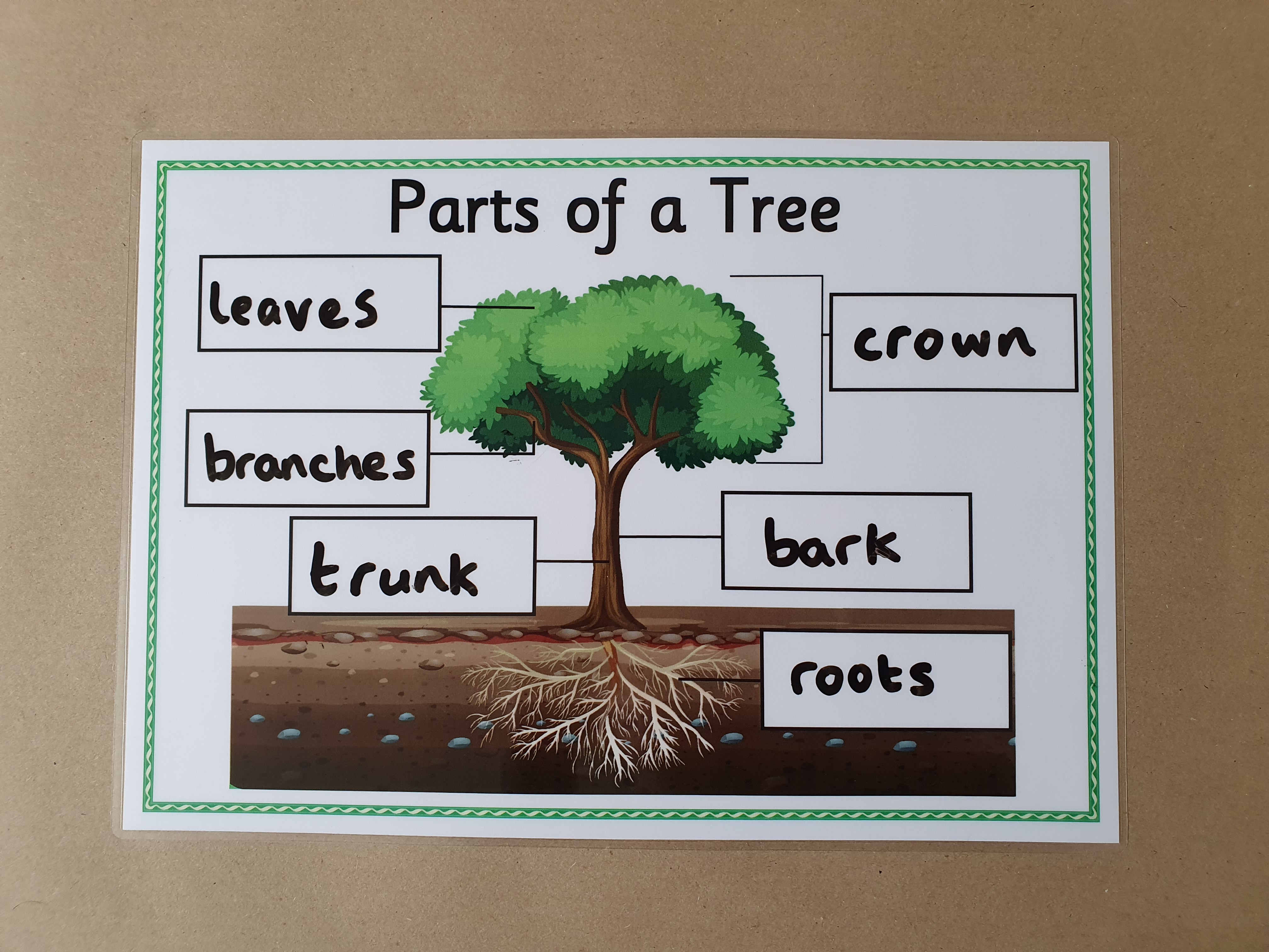Parts of a Tree KS1 Labelling Worksheet