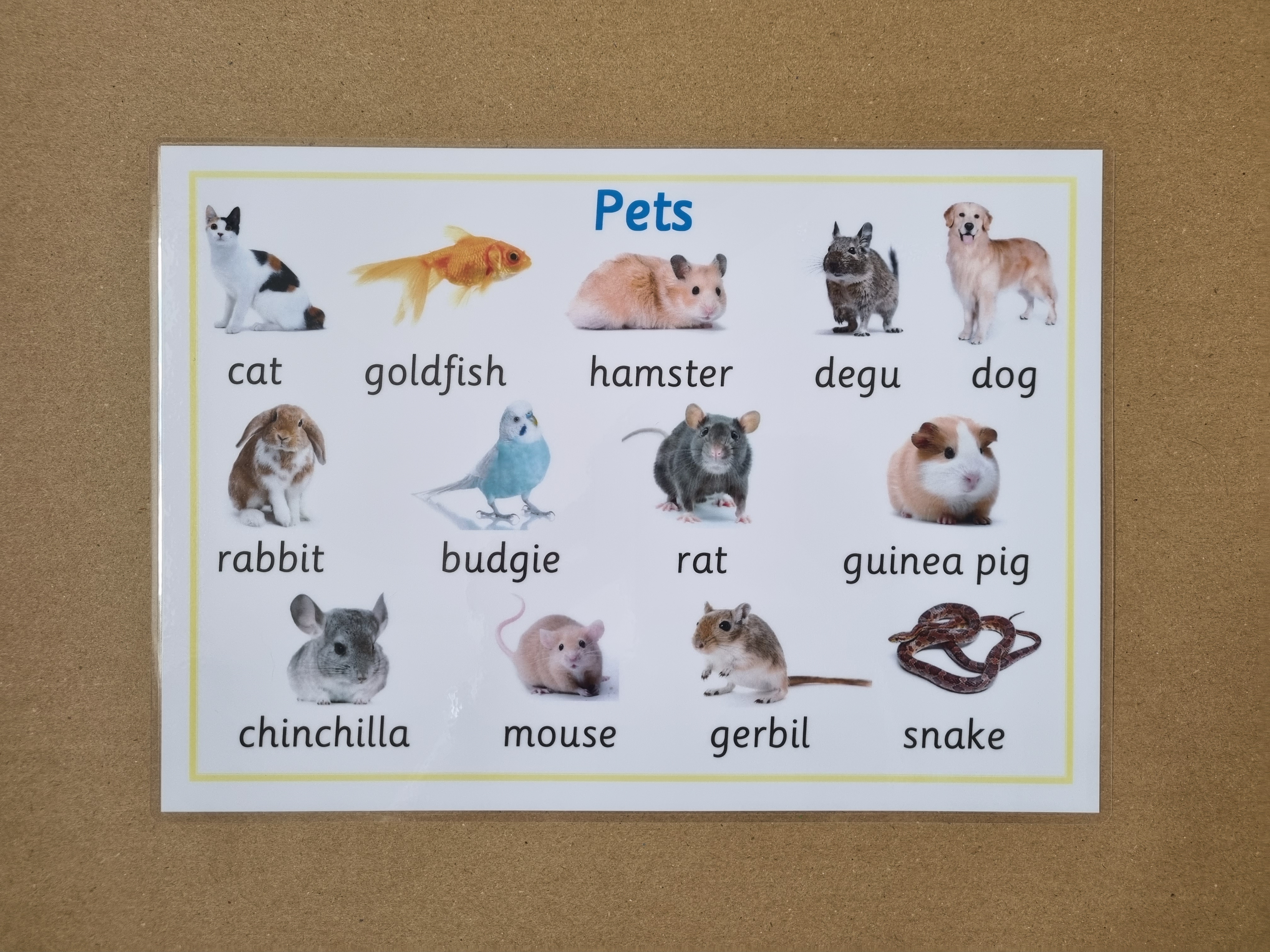 Pets Poster 