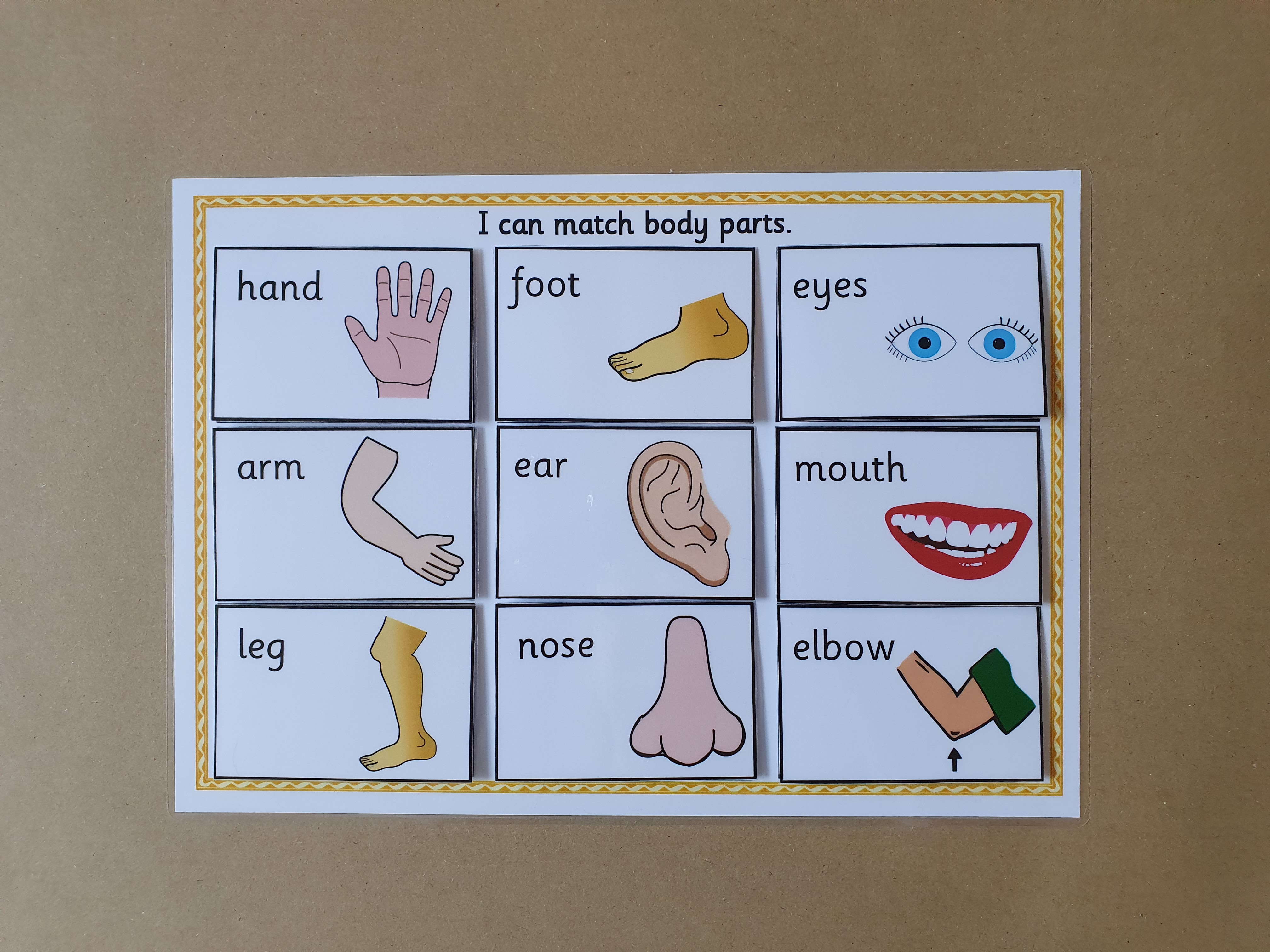 Body Parts Matching Game