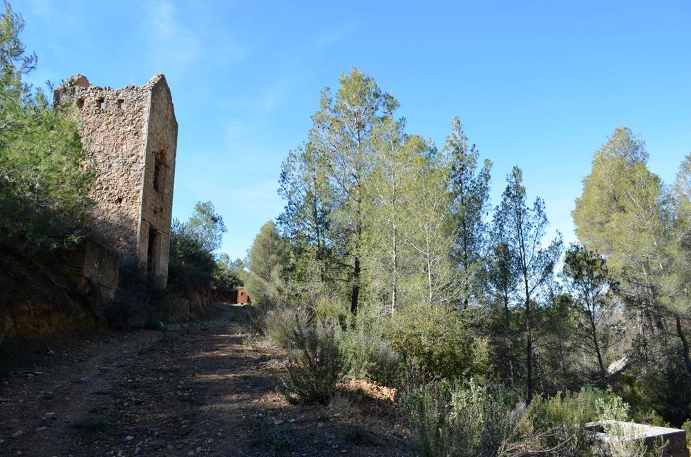 Finca de Montaña Monte en Mula 