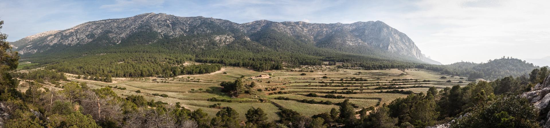 Finca Casas Nuevas (Sierra Espuña)