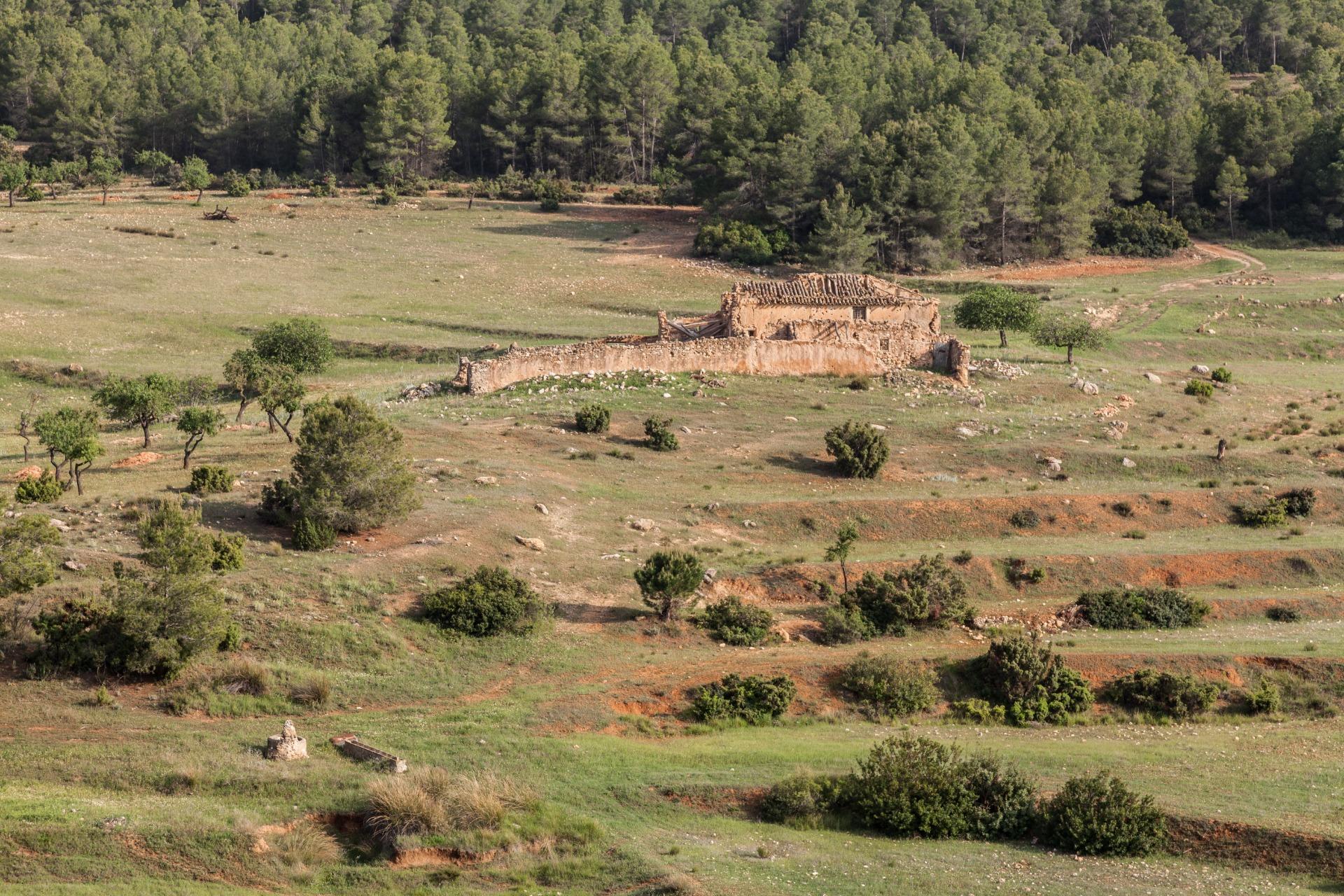 Finca Casas Nuevas (Sierra Espuña)