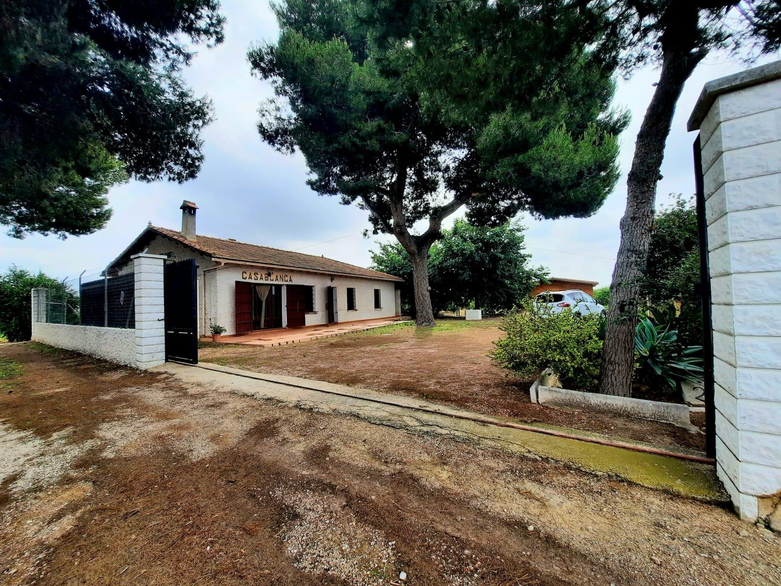 Casa de campo en la huerta de Dolores ( Alicante )