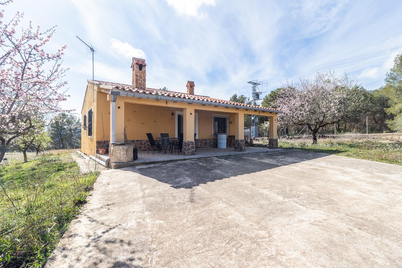 Casa de campo con parcela y finca de almendro ( Mula )