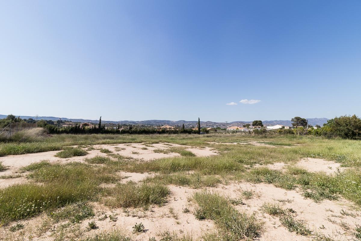 Terreno edificable ( Pliego )