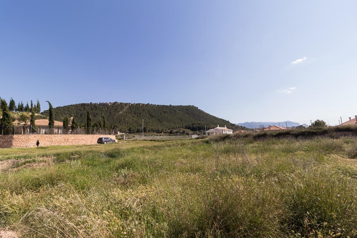 Terreno edificable ( Pliego )