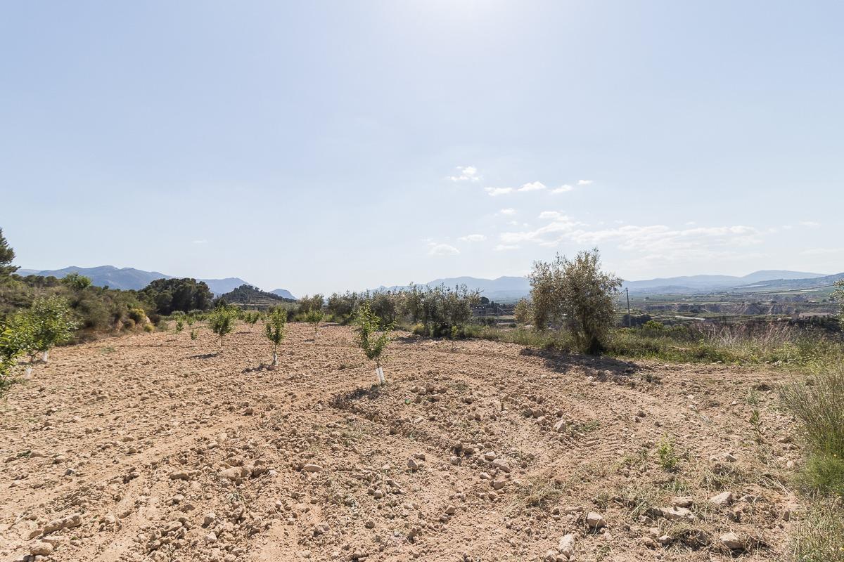 Terreno edificable ( Pliego )