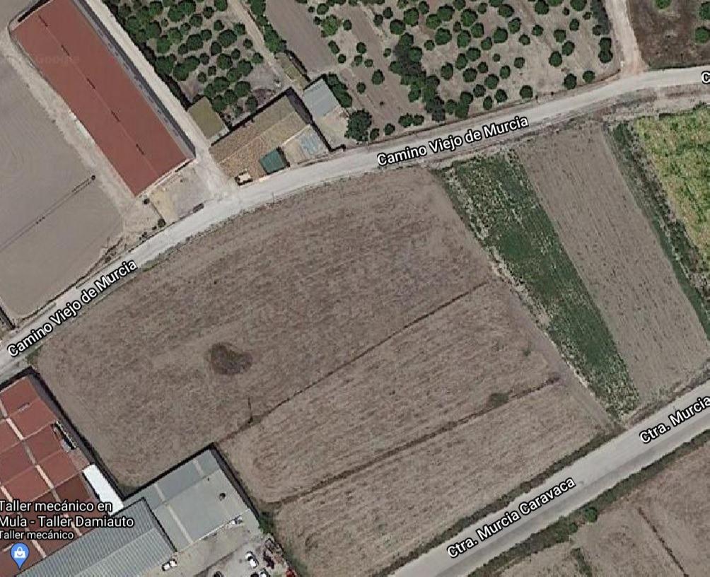 Terreno industrial ( Mula )