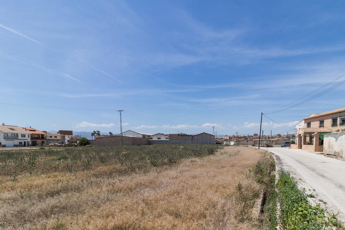 Terreno industrial ( Mula )