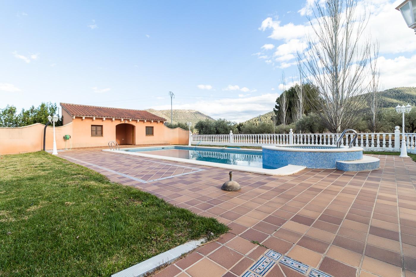 Chalet con finca de olivos ( Bullas )