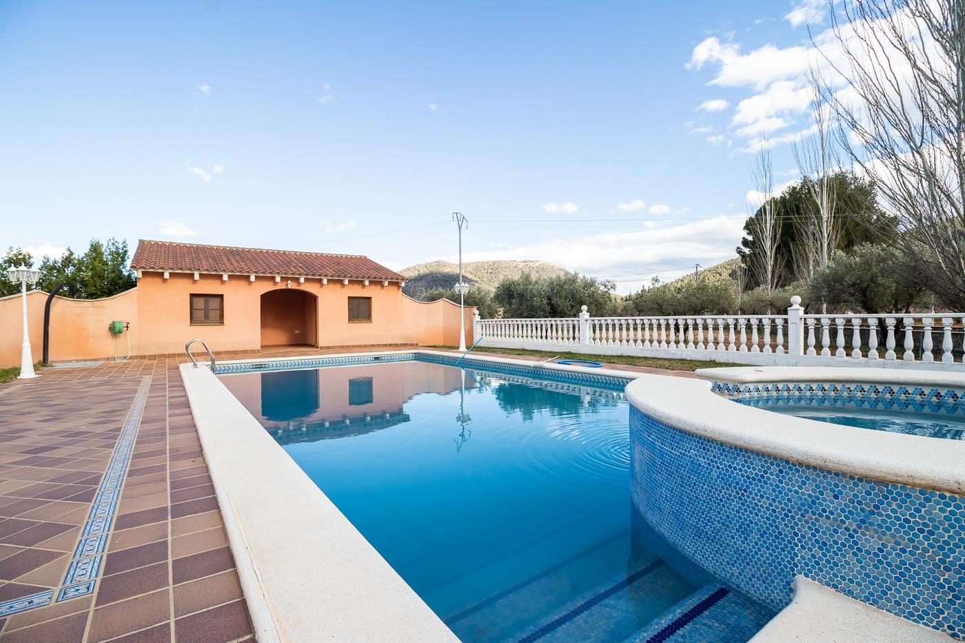 Chalet con finca de olivos ( Bullas )