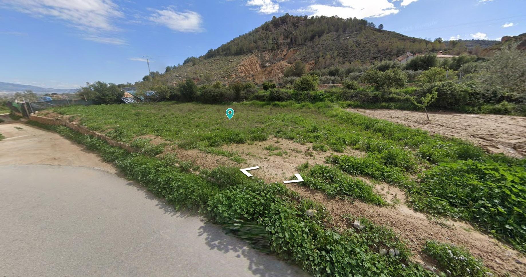 Terreno Rustico ( Pliego )