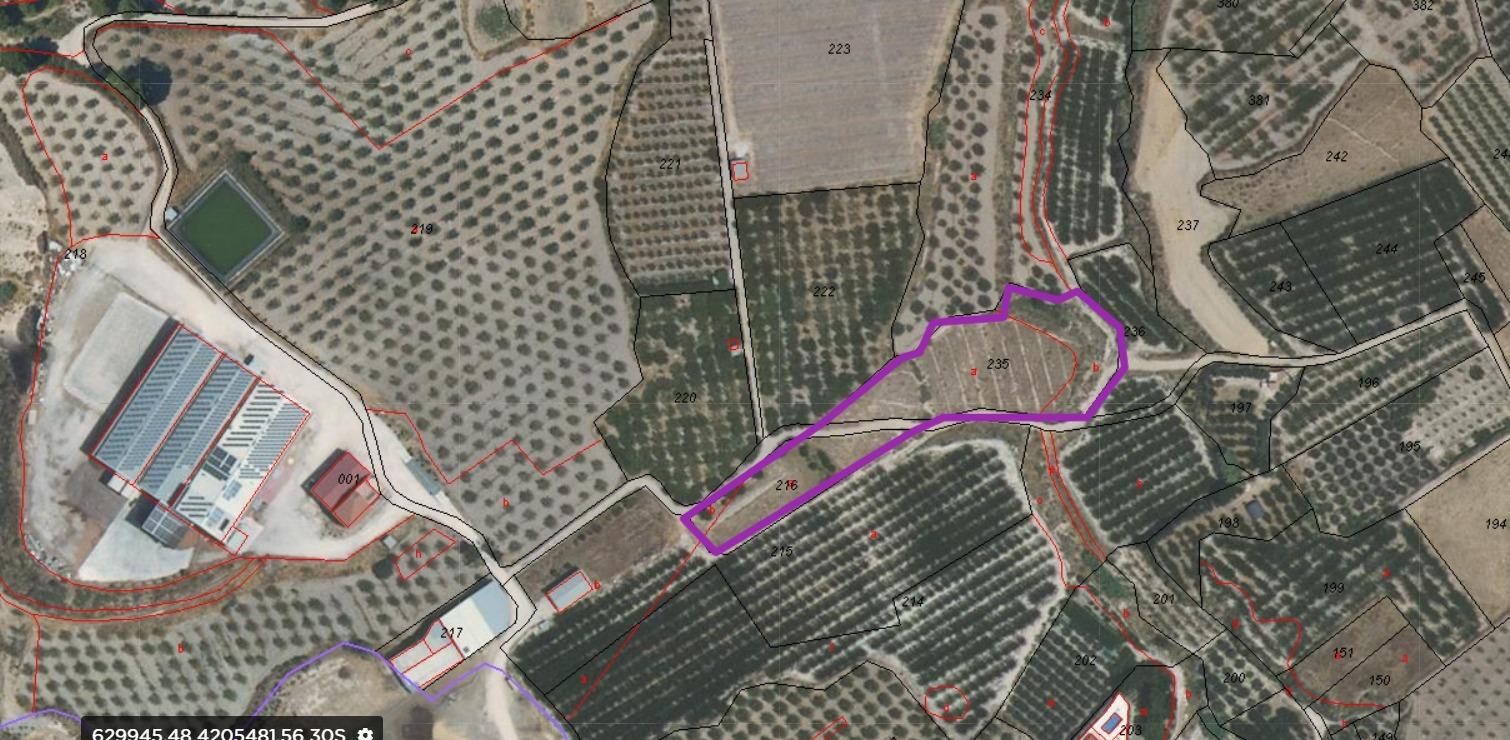 Terreno Rustico ( Pliego )